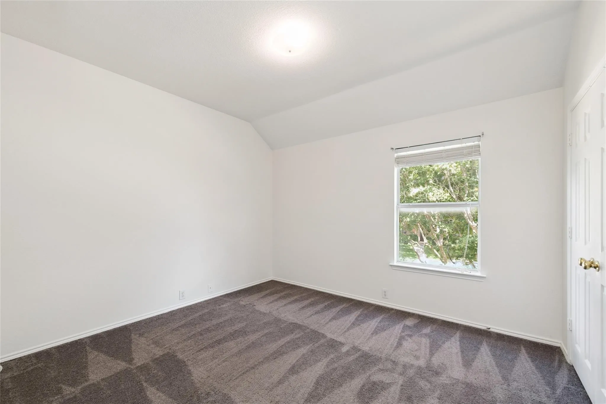 Vaulted ceiling, neutral wall paint, carpeted flooring, single window, and a paneled door