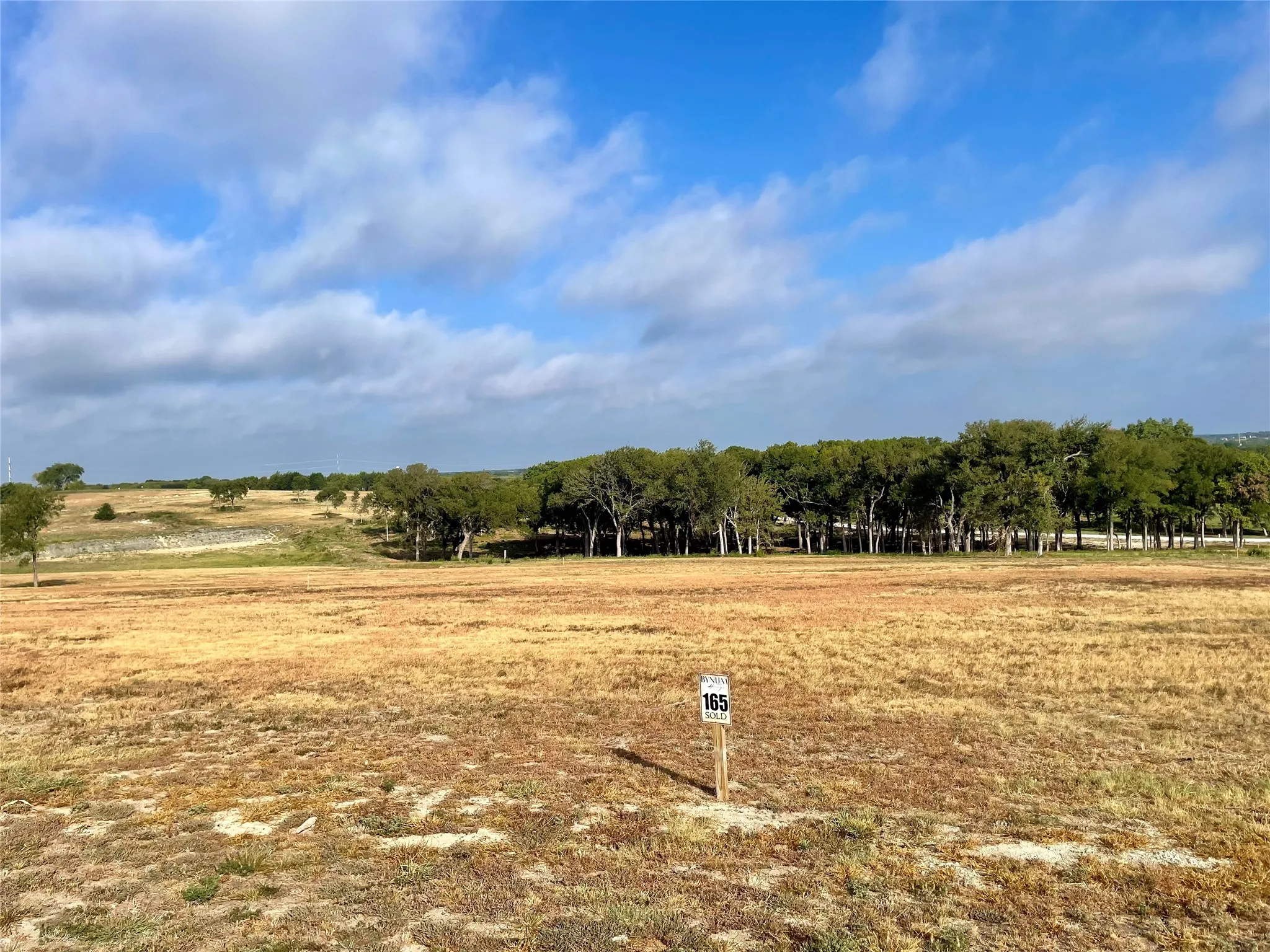 Unimproved Land For Sale in Ellis County , 165 Caballo Drive, Oak Leaf, Texas 75154, 0, 0, Garage spaces, 0 Sqft, built in 0, mls#21390965, Real Estate Agent in Oak Leaf, Homes For Sale in Ellis county, Homes For Sale in Oak Leaf, Realtor in Oak Leaf Texas, Real Estate Brokerage Independent Realty Texas, Luminita Cordes Realtor