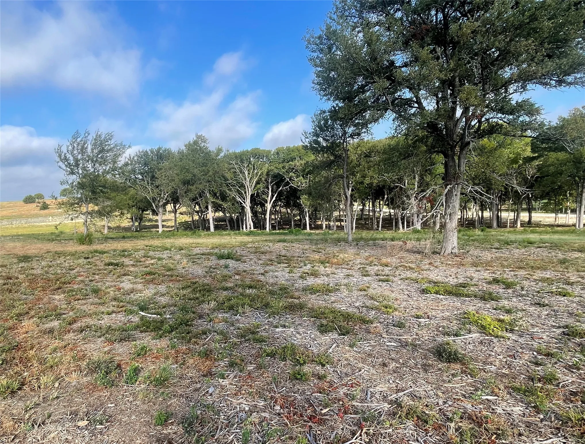 Unimproved Land For Sale in Ellis County , 165 Caballo Drive, Oak Leaf, Texas 75154, 0, 0, Garage spaces, 0 Sqft, built in 0, mls#21390965, Real Estate Agent in Oak Leaf, Homes For Sale in Ellis county, Homes For Sale in Oak Leaf, Realtor in Oak Leaf Texas, Real Estate Brokerage Independent Realty Texas, Luminita Cordes Realtor