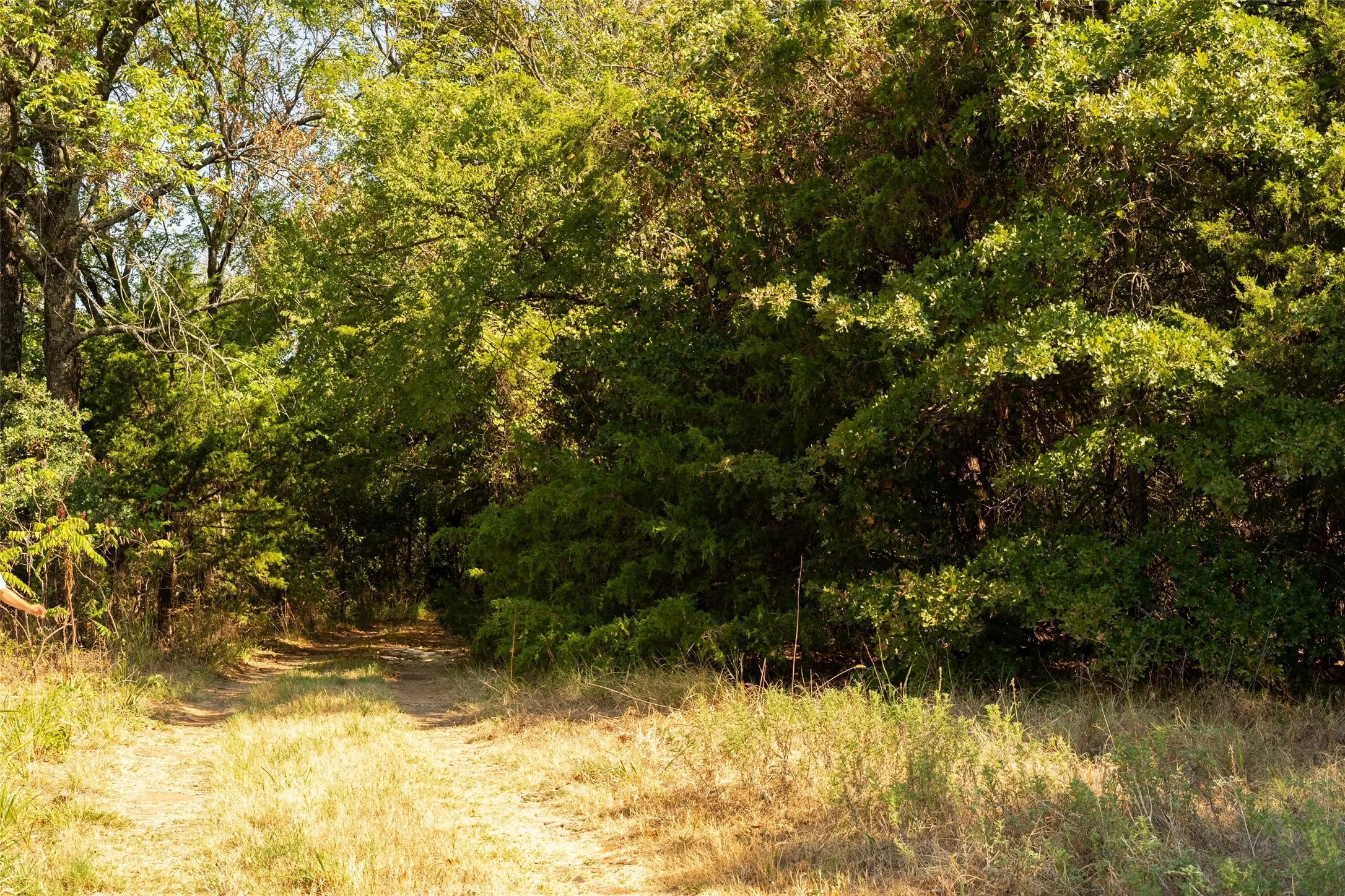 Unimproved Land For Sale in Grayson County , Tbd N Tipps Lane, Whitesboro, Texas 76273, 0, 0, Garage spaces, 0 Sqft, built in 1950, mls#21391294, Real Estate Agent in Whitesboro, Homes For Sale in Grayson county, Homes For Sale in Whitesboro, Realtor in Whitesboro Texas, Real Estate Brokerage Independent Realty Texas, Luminita Cordes Realtor