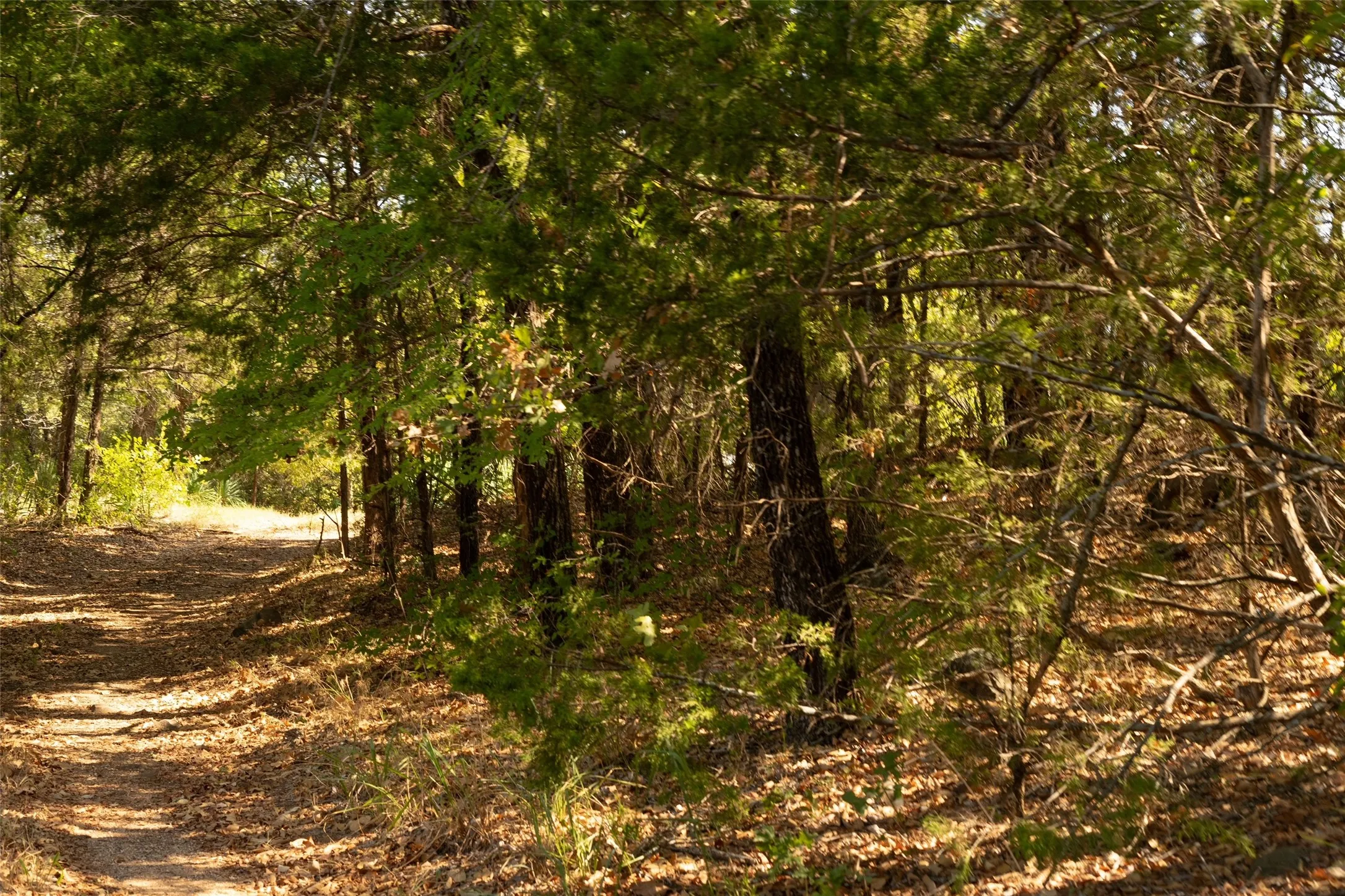Unimproved Land For Sale in Grayson County , Tbd N Tipps Lane, Whitesboro, Texas 76273, 0, 0, Garage spaces, 0 Sqft, built in 1950, mls#21391294, Real Estate Agent in Whitesboro, Homes For Sale in Grayson county, Homes For Sale in Whitesboro, Realtor in Whitesboro Texas, Real Estate Brokerage Independent Realty Texas, Luminita Cordes Realtor
