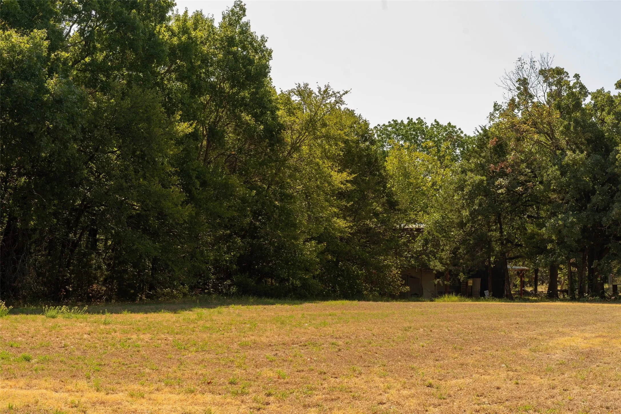 Unimproved Land For Sale in Grayson County , Tbd N Tipps Lane, Whitesboro, Texas 76273, 0, 0, Garage spaces, 0 Sqft, built in 1950, mls#21391294, Real Estate Agent in Whitesboro, Homes For Sale in Grayson county, Homes For Sale in Whitesboro, Realtor in Whitesboro Texas, Real Estate Brokerage Independent Realty Texas, Luminita Cordes Realtor