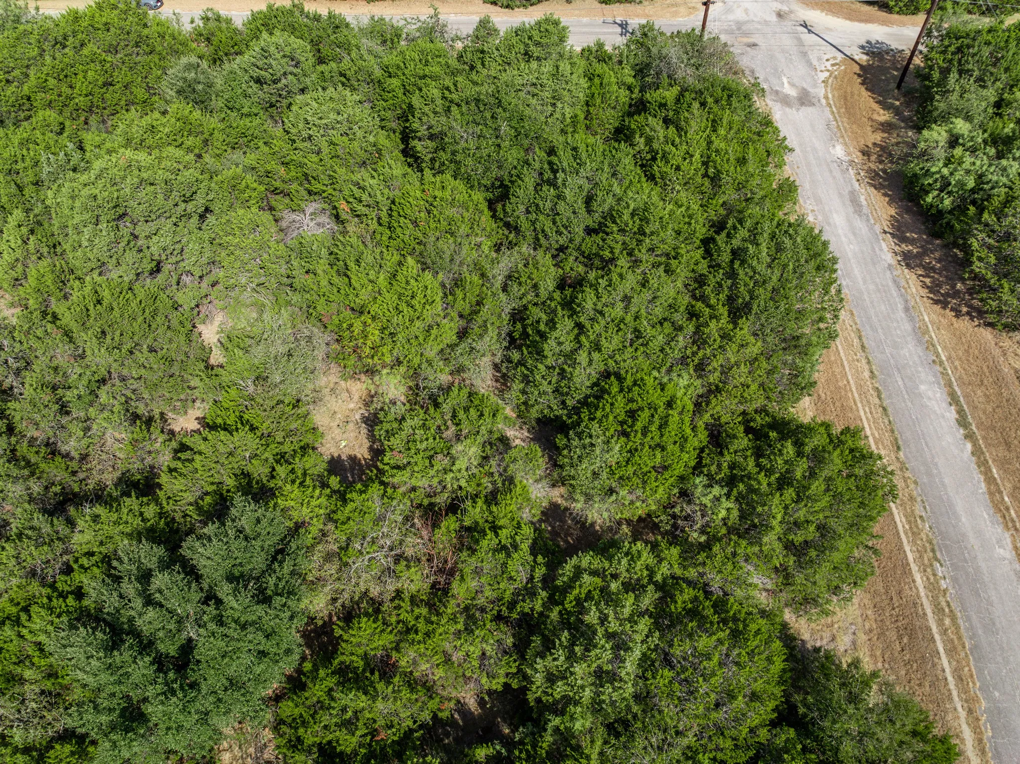 Unimproved Land For Sale in Hill County , 4084 Mesquite Drive, Whitney, Texas 76692, 0, 0, Garage spaces, 0 Sqft, built in 0, mls#21387071, Real Estate Agent in Whitney, Homes For Sale in Hill county, Homes For Sale in Whitney, Realtor in Whitney Texas, Real Estate Brokerage Independent Realty Texas, Luminita Cordes Realtor