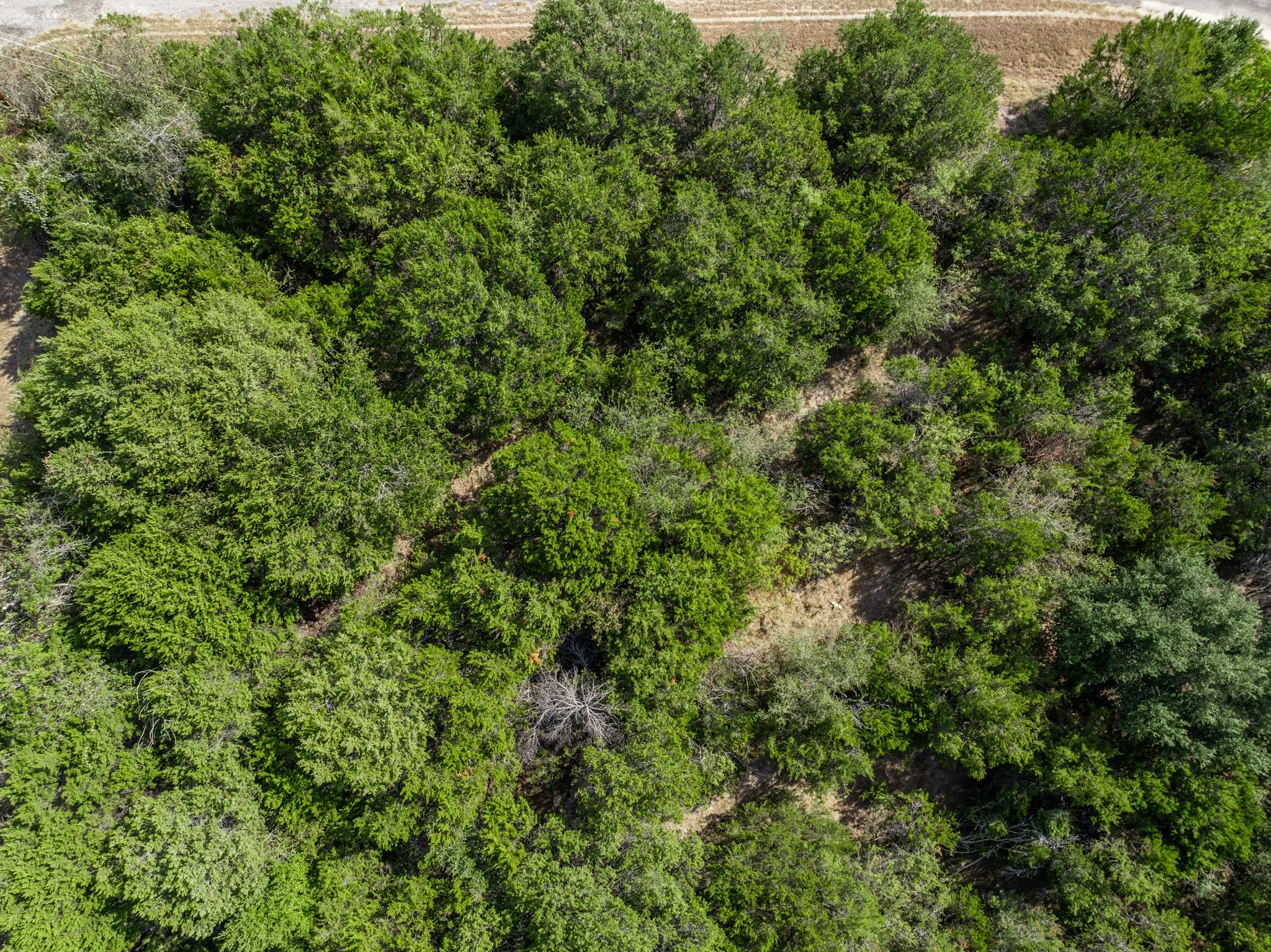 Unimproved Land For Sale in Hill County , 4084 Mesquite Drive, Whitney, Texas 76692, 0, 0, Garage spaces, 0 Sqft, built in 0, mls#21387071, Real Estate Agent in Whitney, Homes For Sale in Hill county, Homes For Sale in Whitney, Realtor in Whitney Texas, Real Estate Brokerage Independent Realty Texas, Luminita Cordes Realtor