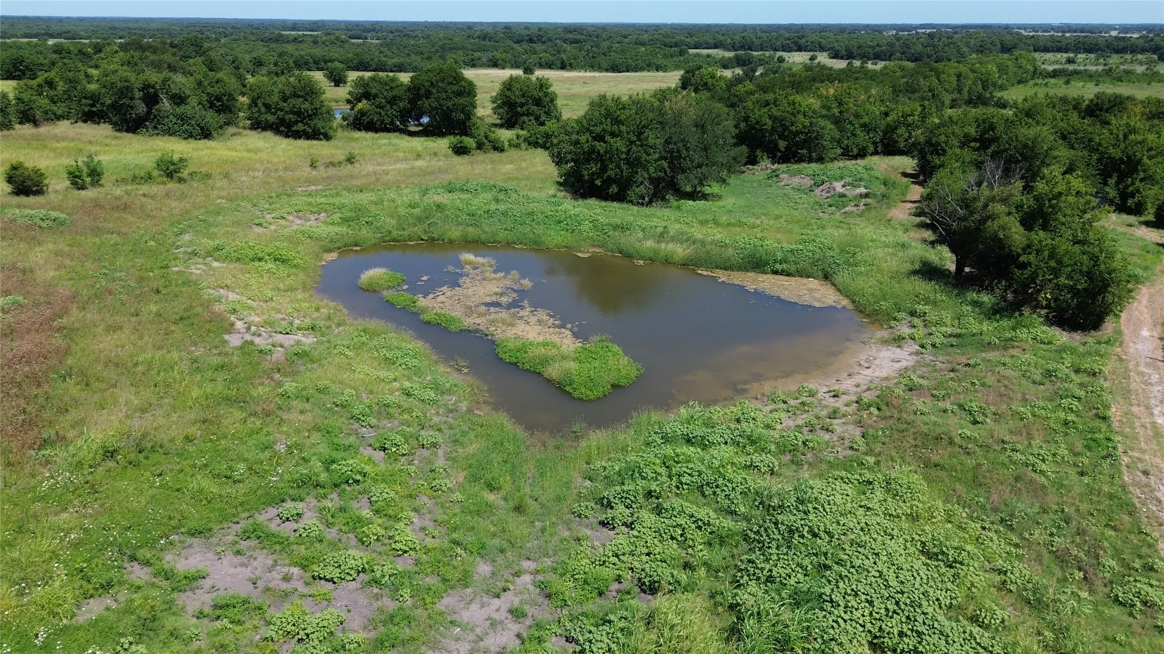 Ranch For Sale in Delta County , 2271 FARM ROAD 2949 N, Cooper, Texas 75432, 0, 0, Garage spaces, 0 Sqft, built in 1998, mls#21391356, Real Estate Agent in Cooper, Homes For Sale in Delta county, Homes For Sale in Cooper, Realtor in Cooper Texas, Real Estate Brokerage Independent Realty Texas, Luminita Cordes Realtor