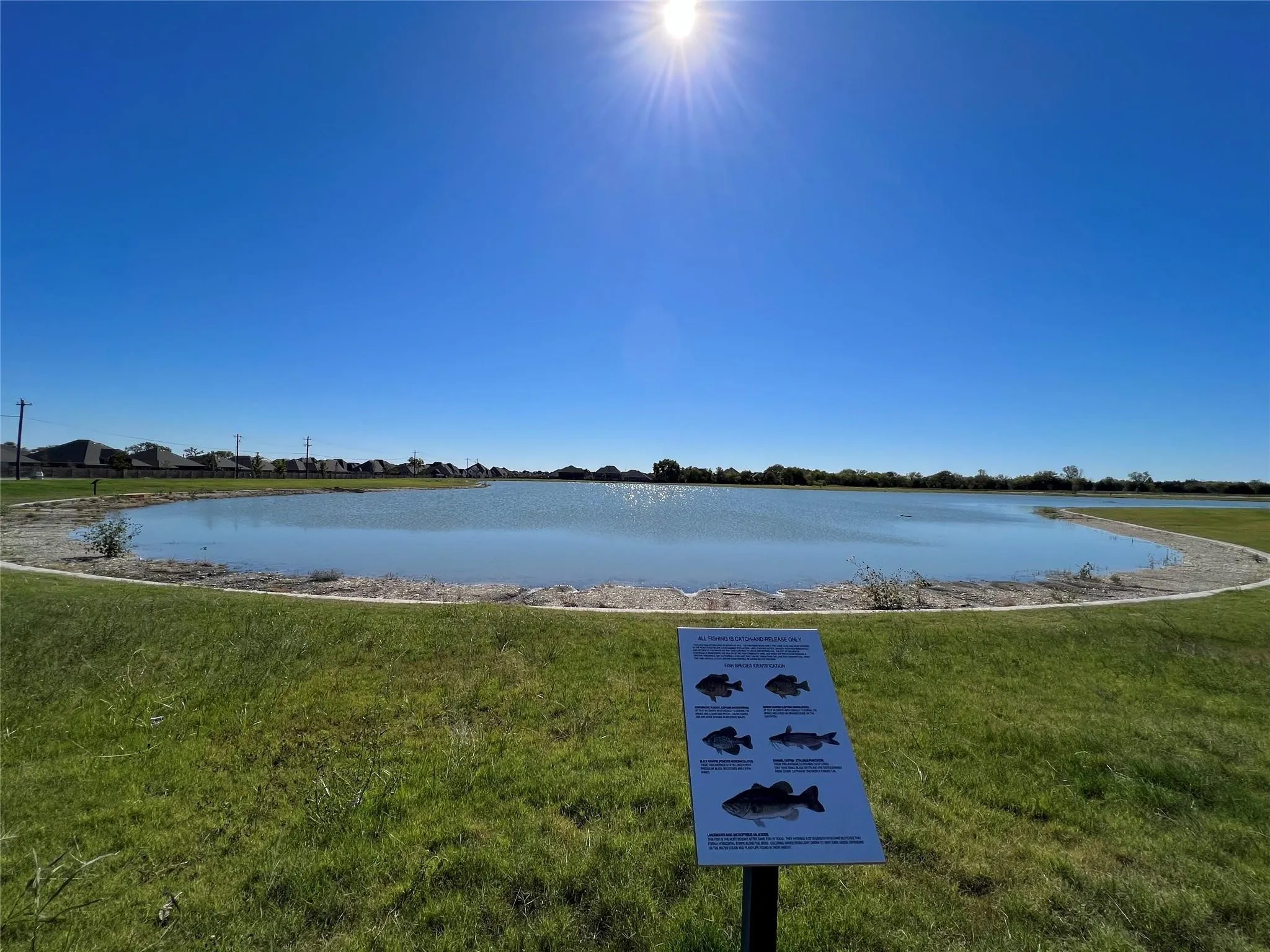 Expansive green space surrounding a placid body of water