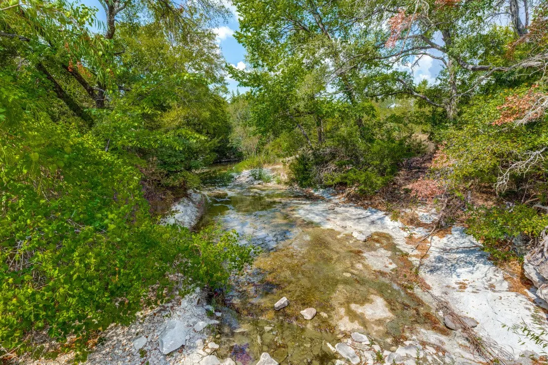 Natural rock bottom creek with surrounding dense foliage