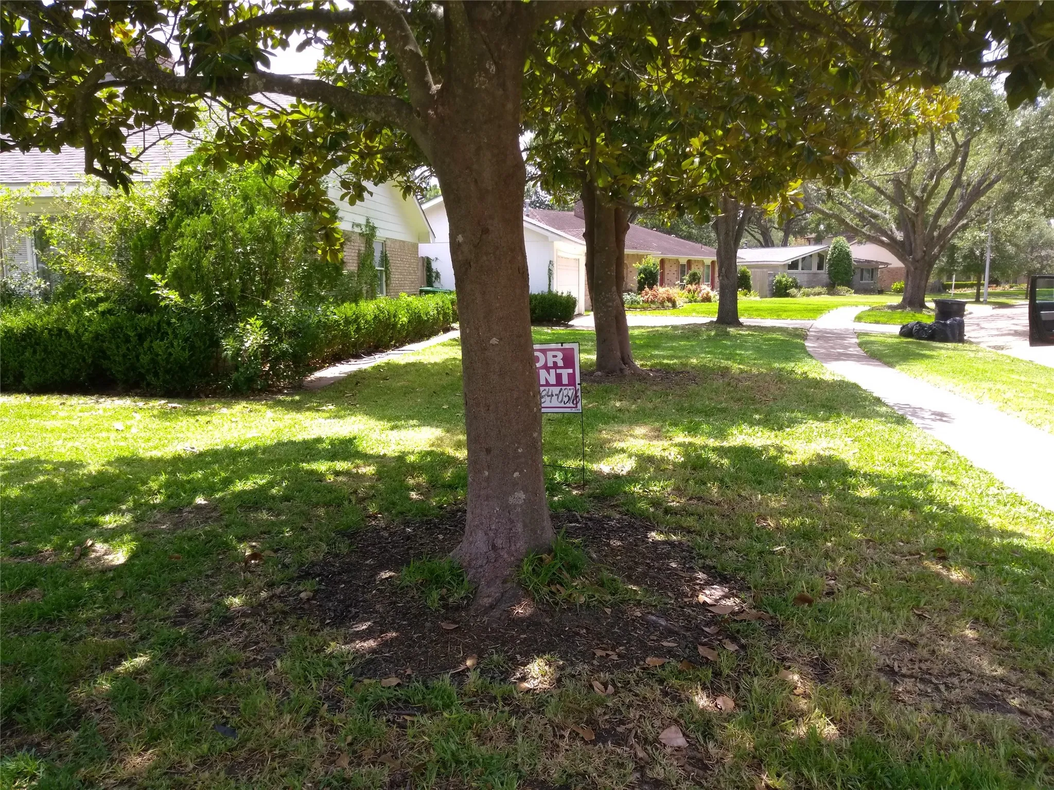 Single Family Residence For Sale in Harris County , 5951 Lattimer Drive, Houston, Texas 77035, 3 Bedroom, 2 Bathroom, 2 Garage spaces, 2,280 Sqft, built in 1960, mls#21385712, Real Estate Agent in Houston, Homes For Sale in Harris county, Homes For Sale in Houston, Realtor in Houston Texas, Real Estate Brokerage Independent Realty Texas, Luminita Cordes Realtor
