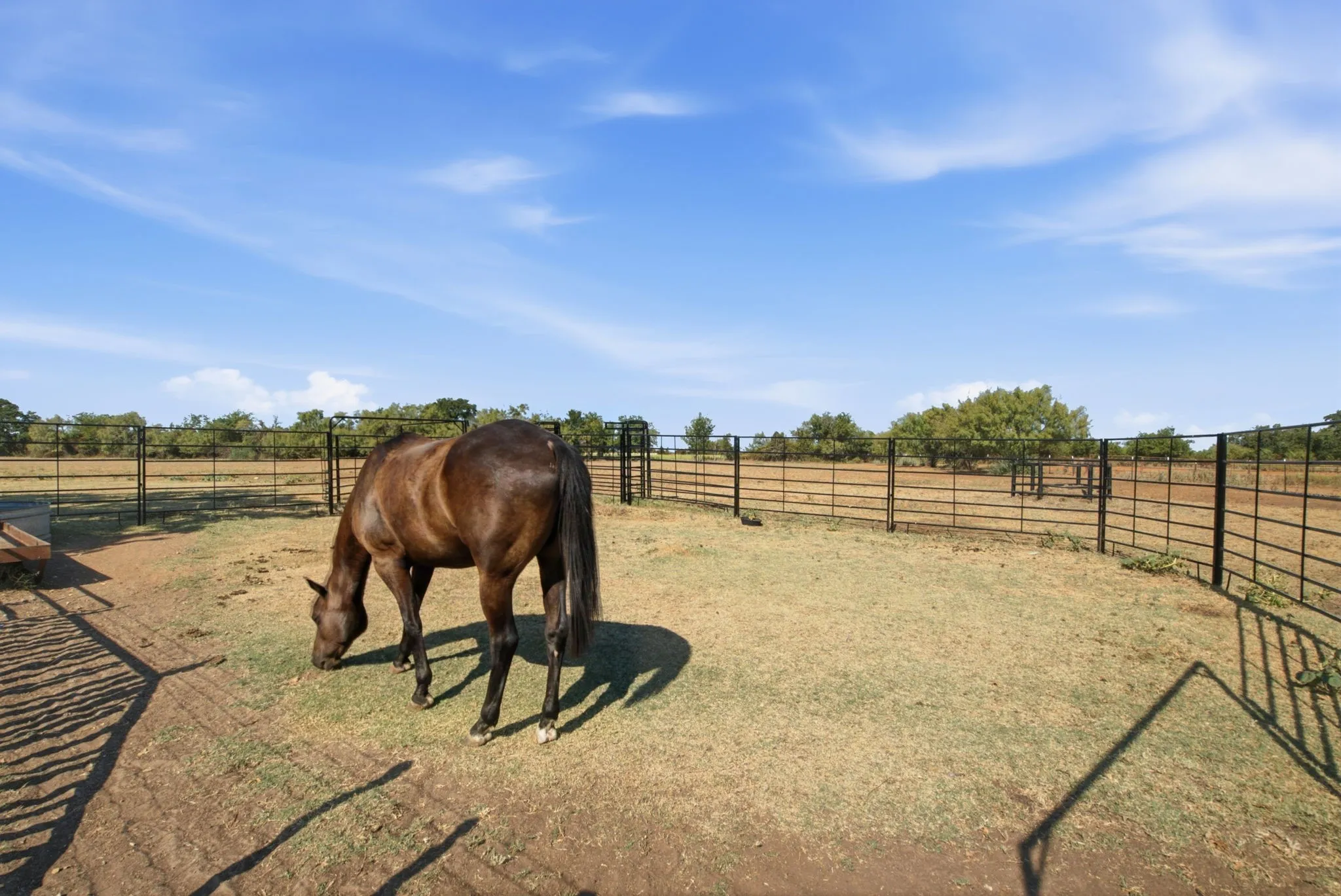 Single Family Residence For Sale in Hood County , 311 Dennis Road, Lipan, Texas 76462, 3 Bedroom, 2 Bathroom, 1 Garage spaces, 1,680 Sqft, built in 1974, mls#21391359, Real Estate Agent in Lipan, Homes For Sale in Hood county, Homes For Sale in Lipan, Realtor in Lipan Texas, Real Estate Brokerage Independent Realty Texas, Luminita Cordes Realtor
