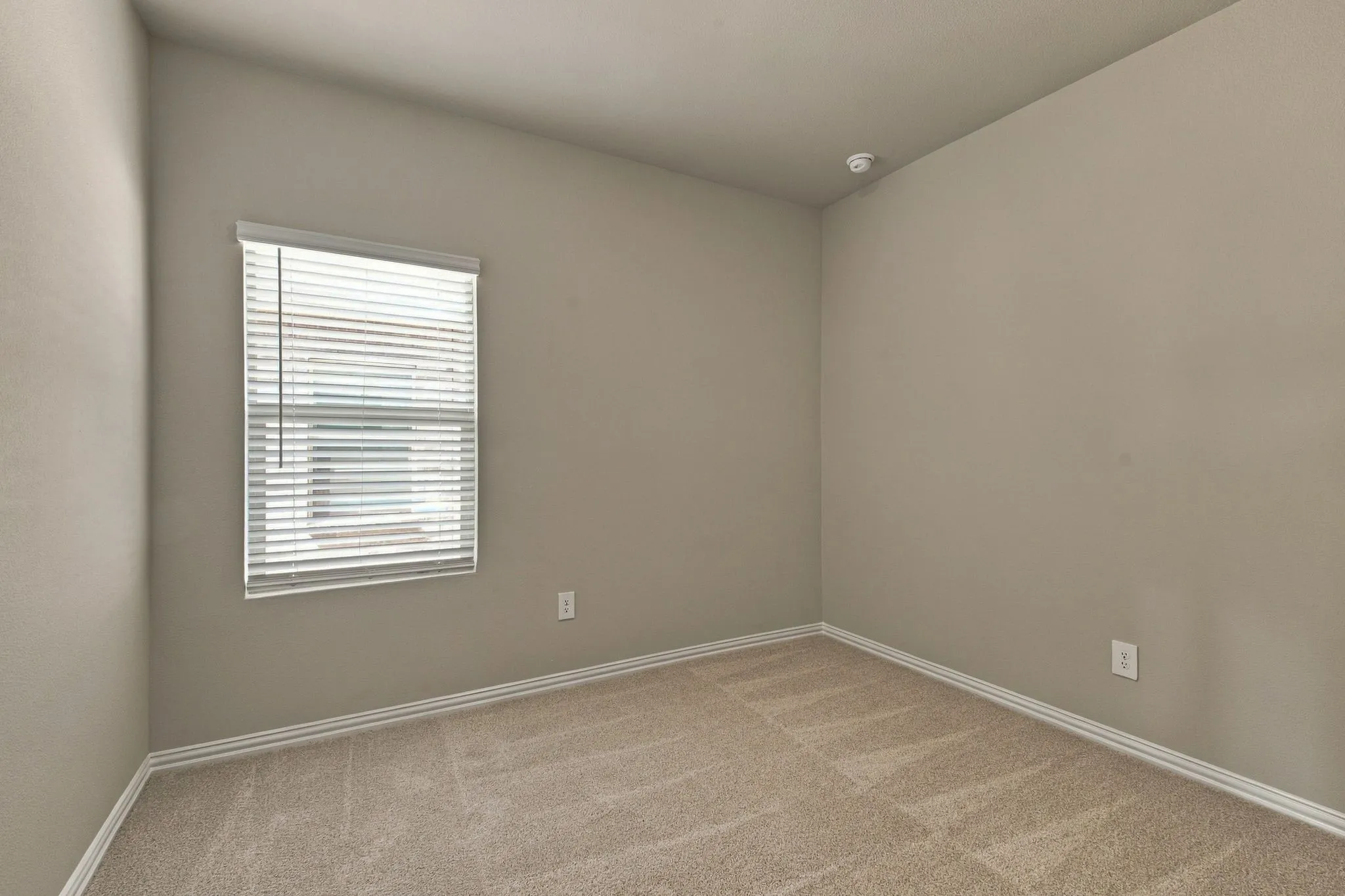 Single Family Residence For Rent in Collin County , 1203 Bridgewalk Drive, Mc Kinney, Texas 75071, 3 Bedroom, 2 Bathroom, 2 Garage spaces, 1,318 Sqft, built in 2026, mls#21391388, Real Estate Agent in Mc Kinney, Homes For Rent in Collin county, Homes For Rent in Mc Kinney, Realtor in Mc Kinney Texas, Real Estate Brokerage Independent Realty Texas, Luminita Cordes Realtor