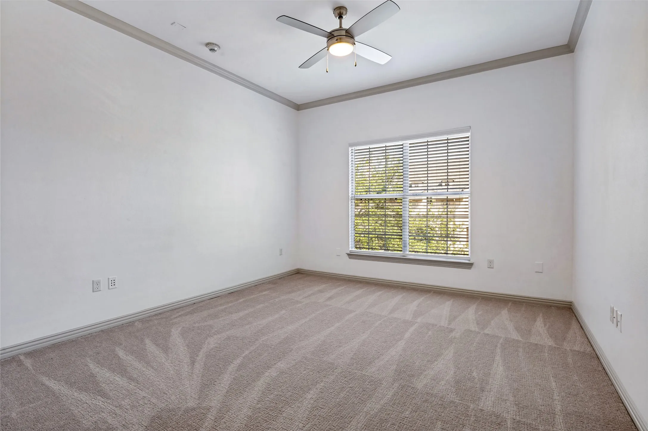 Primary bedroom with ensuite bath and walk-in closet.