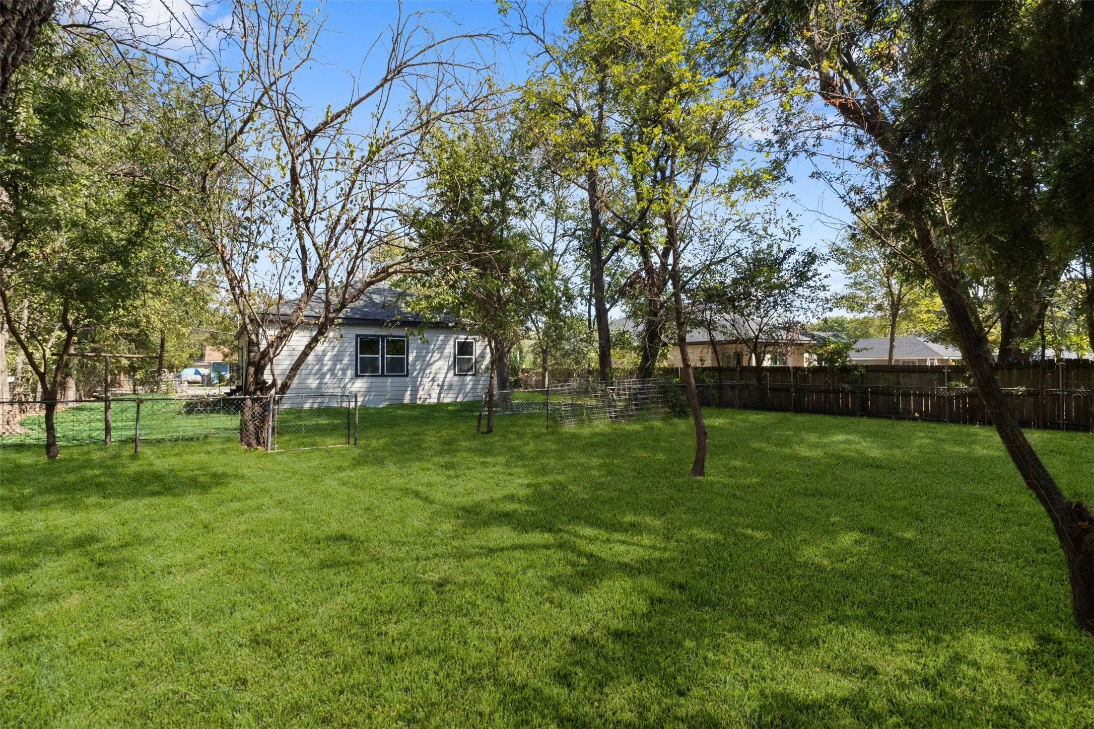 Expansive green lawn with mature trees and a wood privacy fence