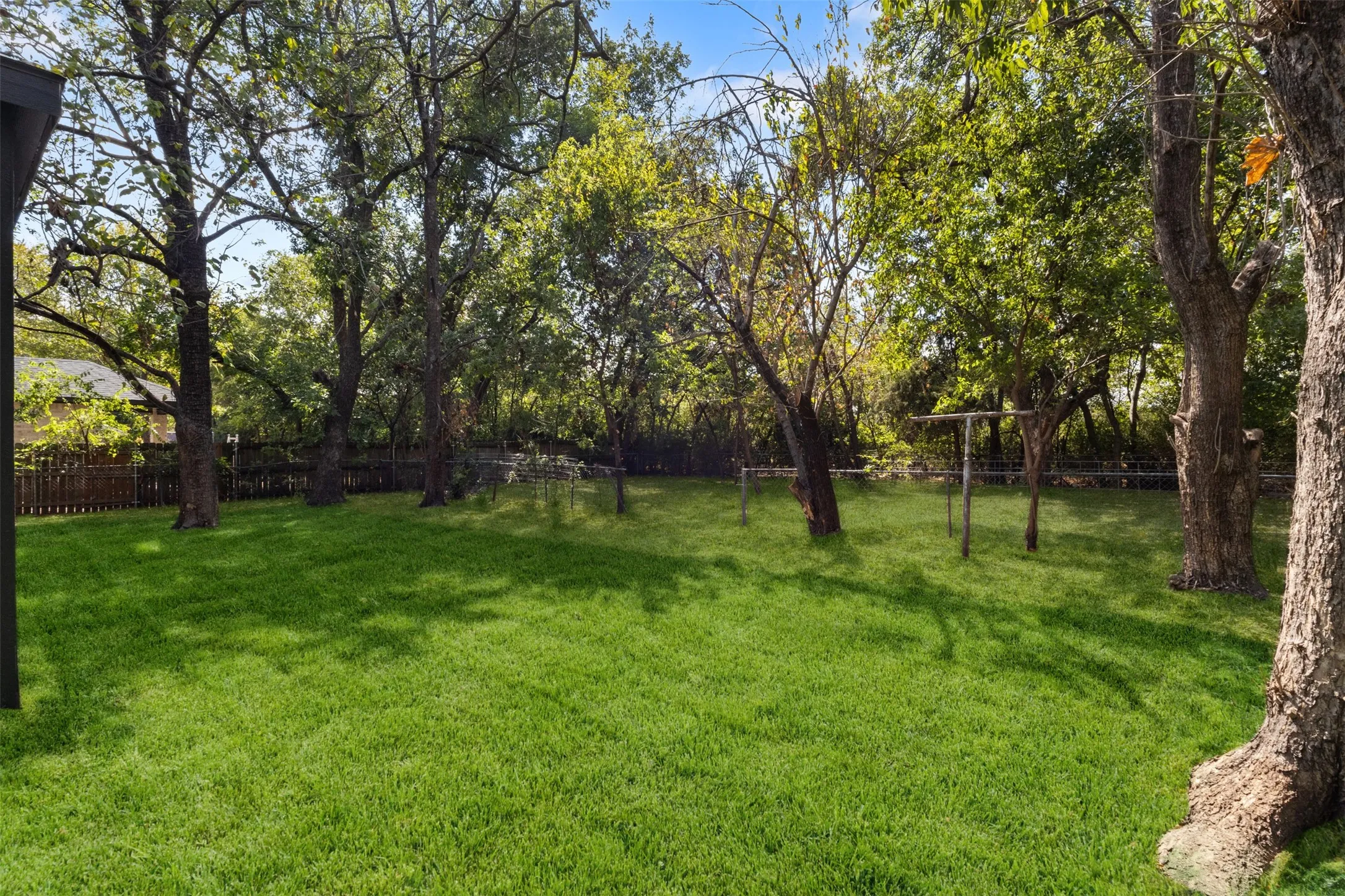 Expansive backyard with a manicured lawn, mature trees, and a privacy fence