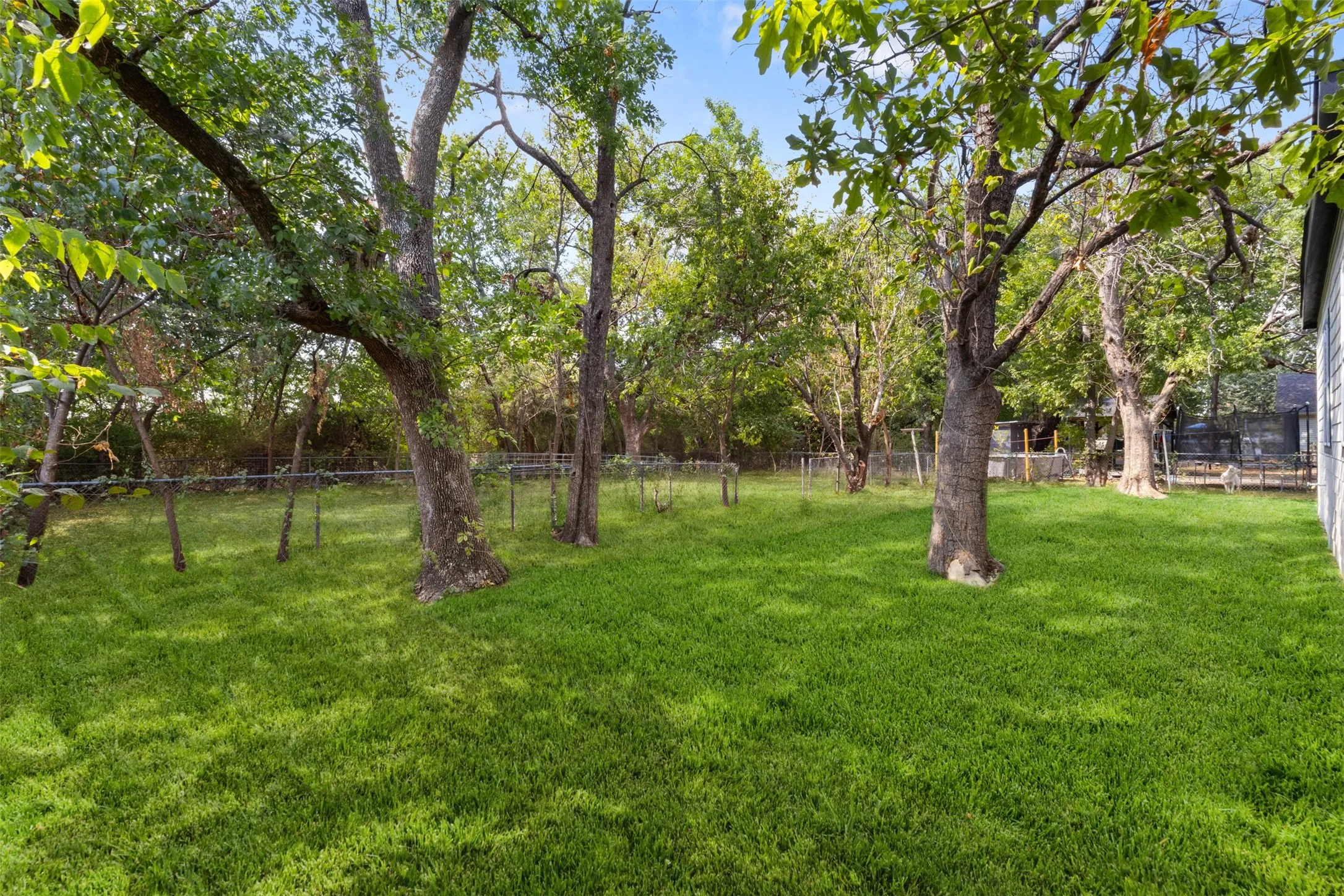 Expansive lawn featuring mature trees and a chain-link perimeter fence