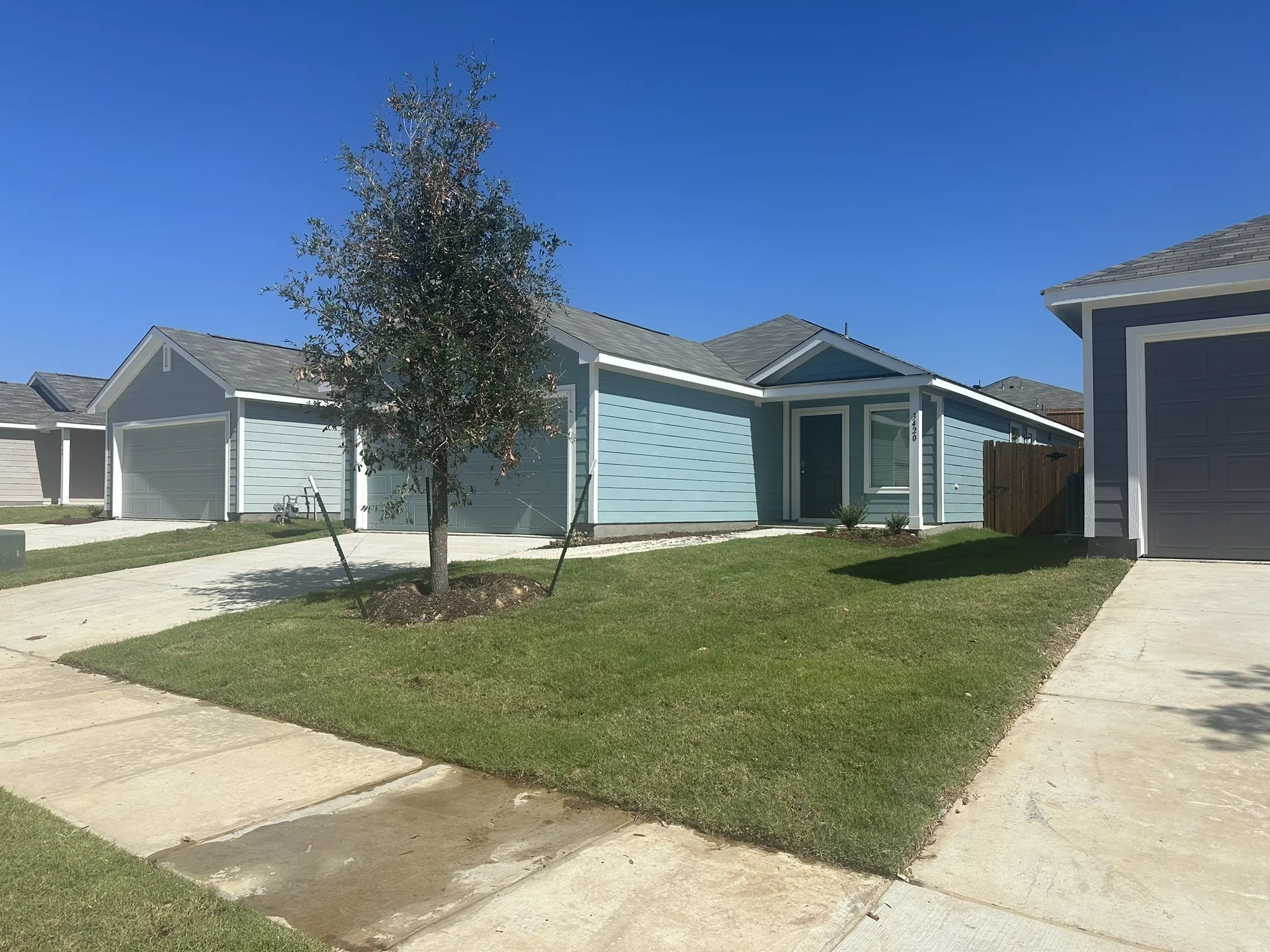 Single Family Residence For Rent in Collin County , 3420 Flicker Place, Mc Kinney, Texas 75071, 3 Bedroom, 2 Bathroom, 2 Garage spaces, 1,264 Sqft, built in 2024, mls#21391394, Real Estate Agent in Mc Kinney, Homes For Rent in Collin county, Homes For Rent in Mc Kinney, Realtor in Mc Kinney Texas, Real Estate Brokerage Independent Realty Texas, Luminita Cordes Realtor
