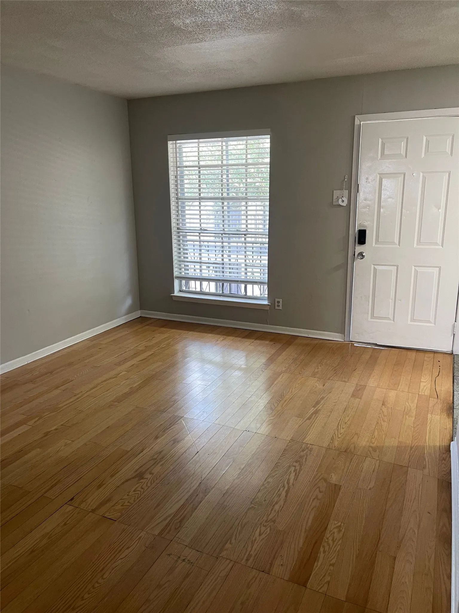 Wood-finish flooring, white paneled entry door, and window with blinds