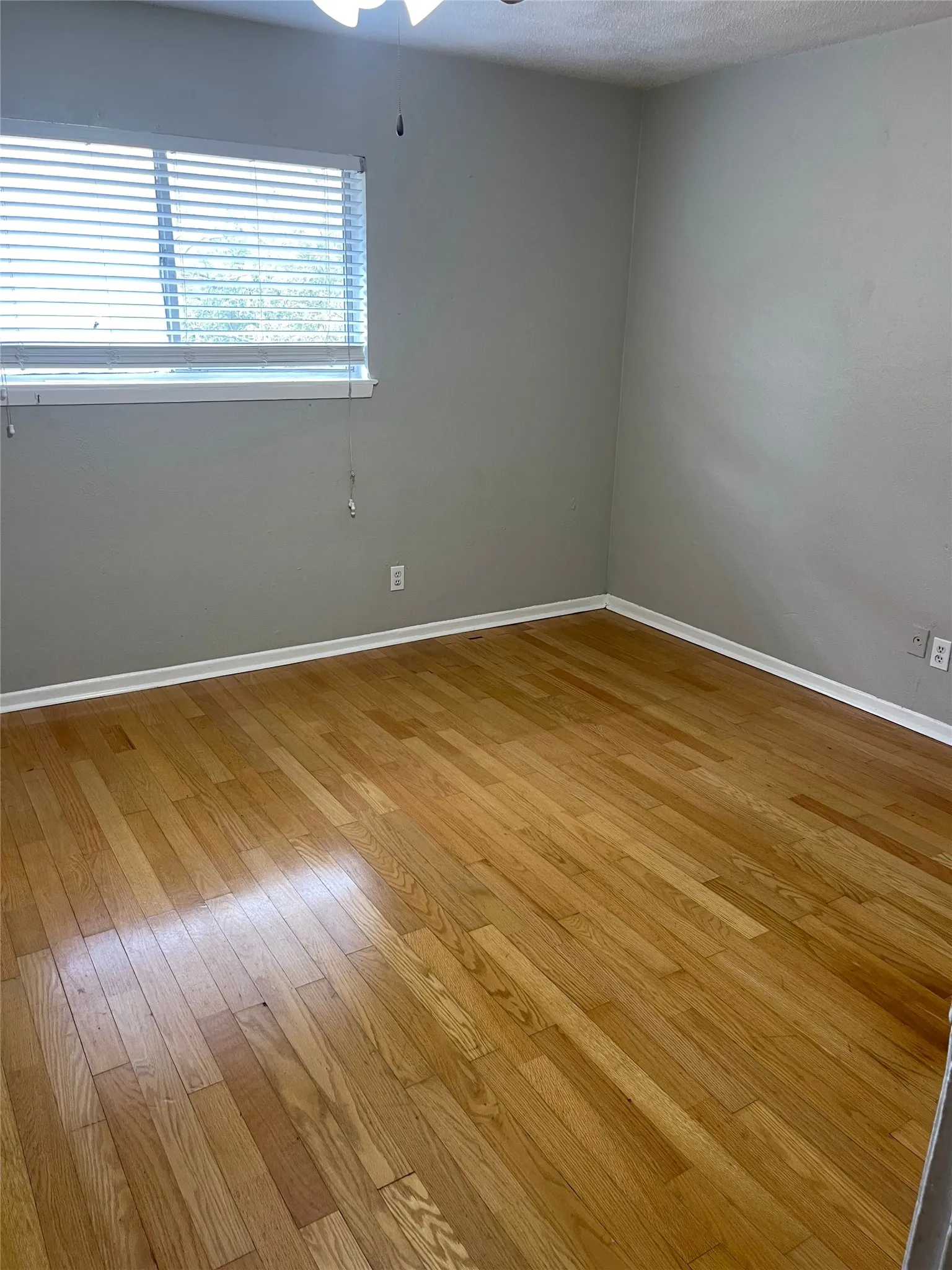 Hardwood flooring, painted walls, and window with blinds