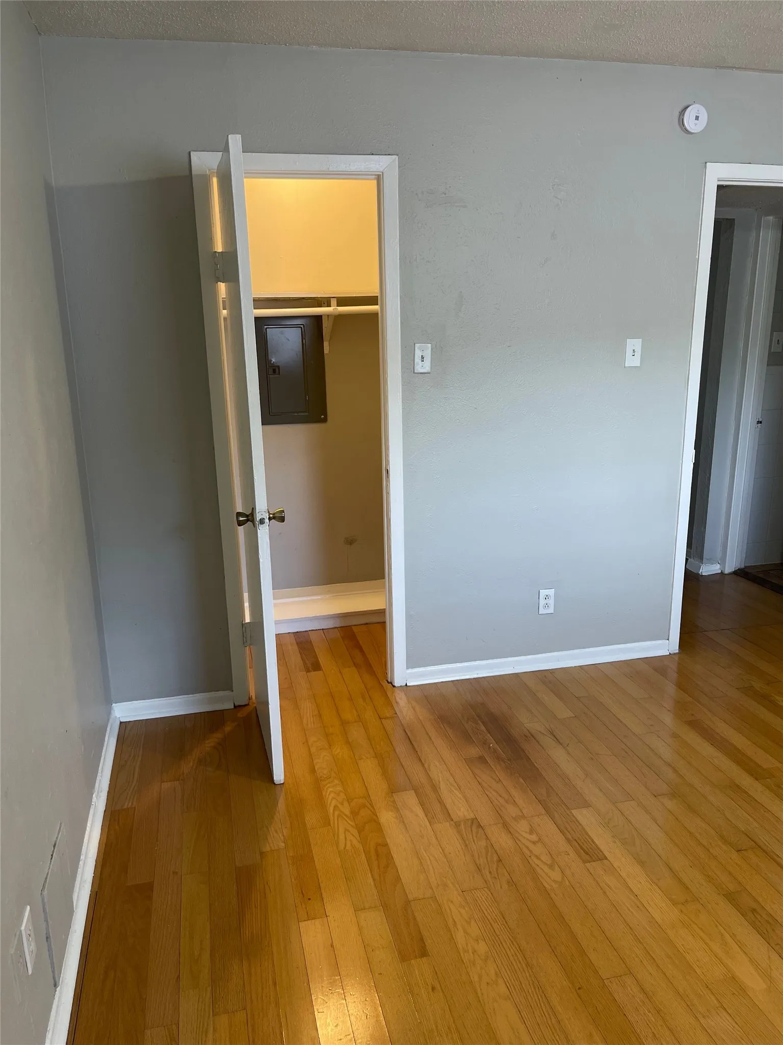 Wood-finish flooring throughout, light gray wall finishes, and white trim