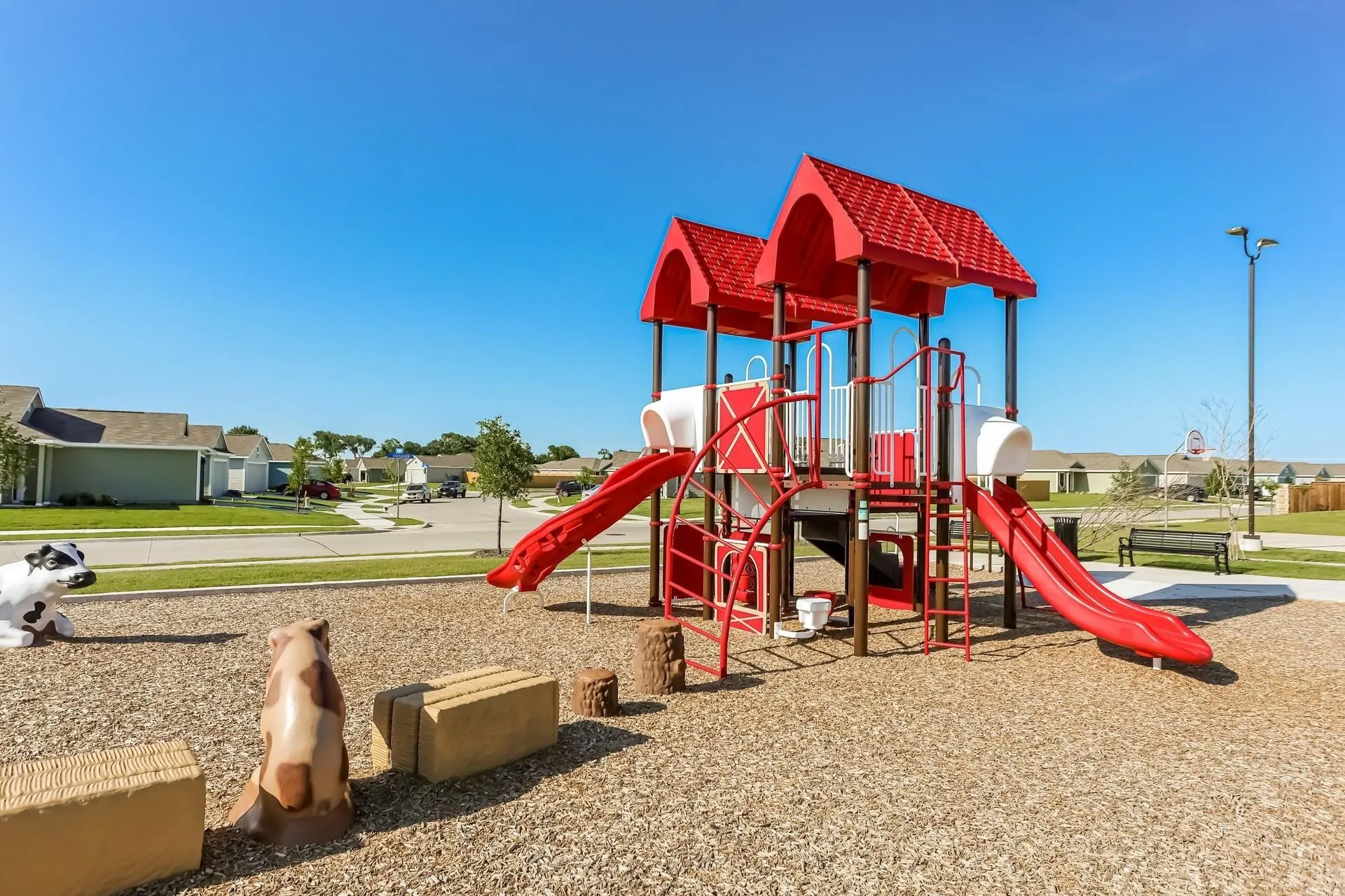 View of jungle gym