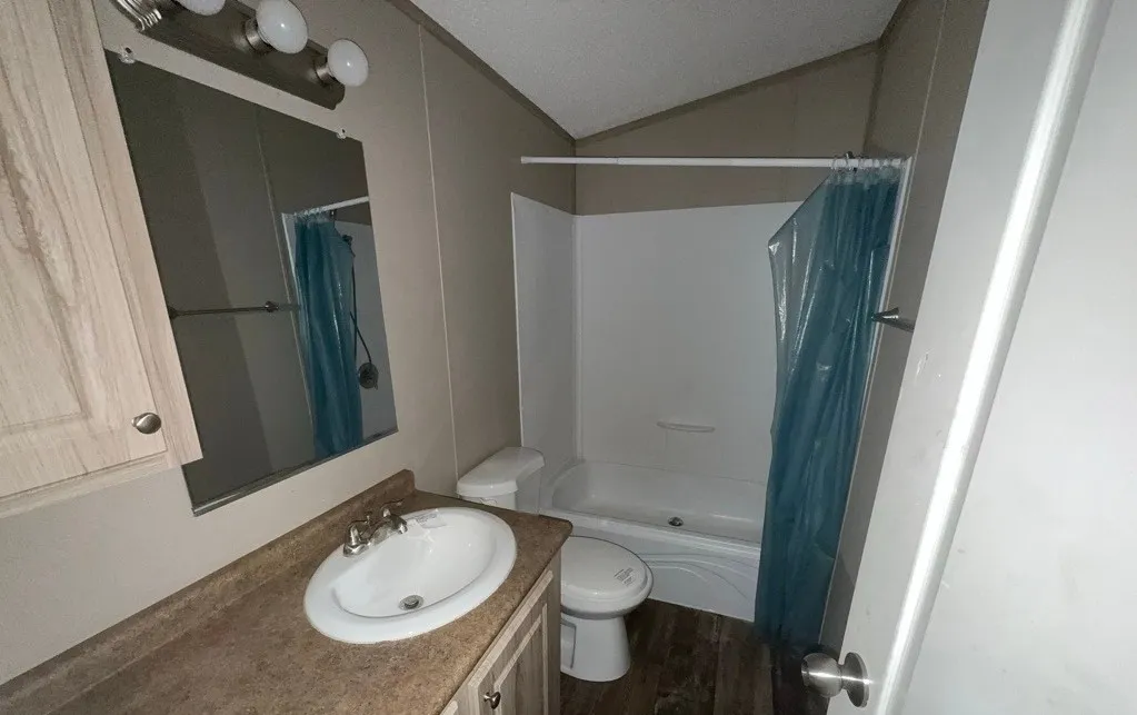 Bathroom featuring a vanity with an integrated sink, wood-finish flooring, a full-size mirror, and a tub/shower combination