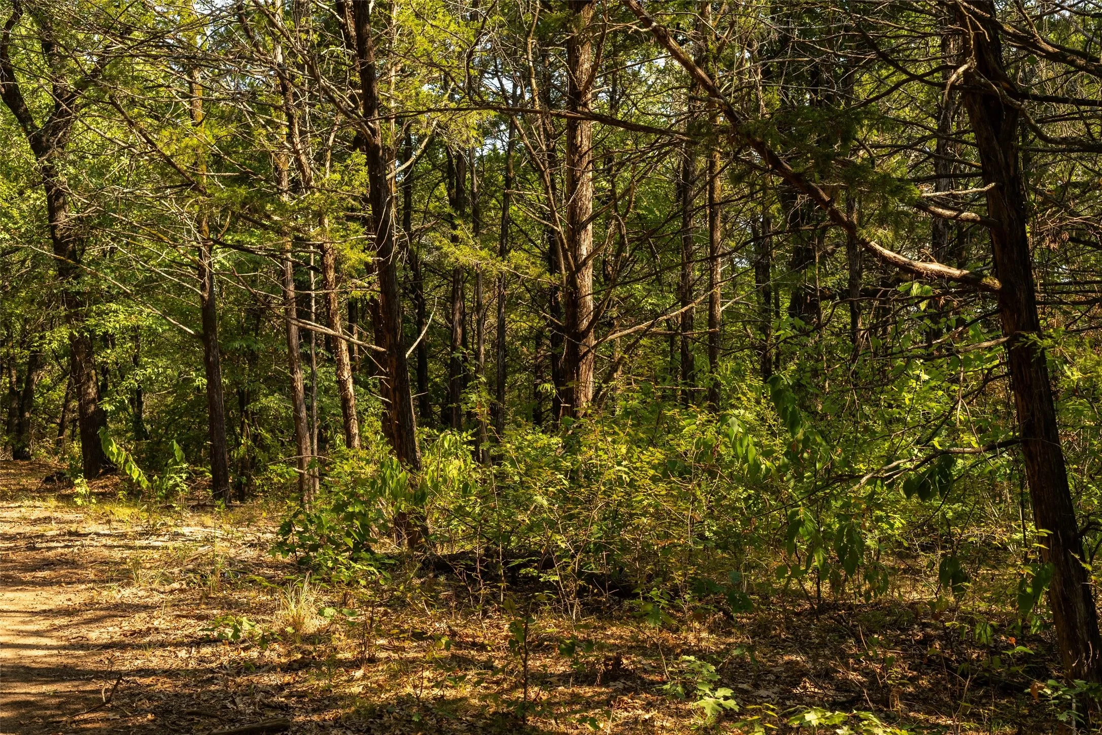 Unimproved Land For Sale in Grayson County , 4 Acres Tipps Lane, Whitesboro, Texas 76273, 0, 0, Garage spaces, 0 Sqft, built in 0, mls#21391408, Real Estate Agent in Whitesboro, Homes For Sale in Grayson county, Homes For Sale in Whitesboro, Realtor in Whitesboro Texas, Real Estate Brokerage Independent Realty Texas, Luminita Cordes Realtor