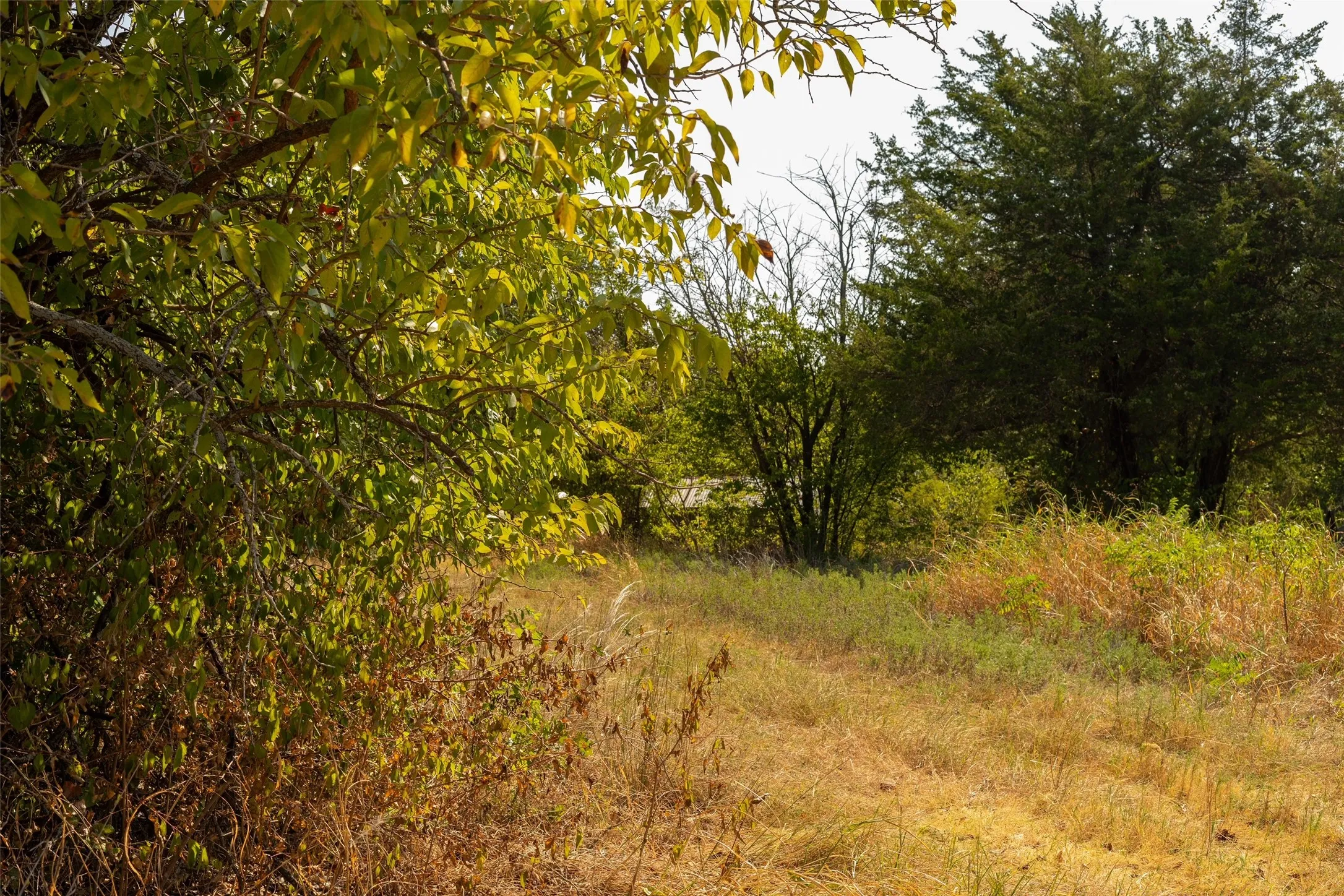 Unimproved Land For Sale in Grayson County , 4 Acres Tipps Lane, Whitesboro, Texas 76273, 0, 0, Garage spaces, 0 Sqft, built in 0, mls#21391408, Real Estate Agent in Whitesboro, Homes For Sale in Grayson county, Homes For Sale in Whitesboro, Realtor in Whitesboro Texas, Real Estate Brokerage Independent Realty Texas, Luminita Cordes Realtor