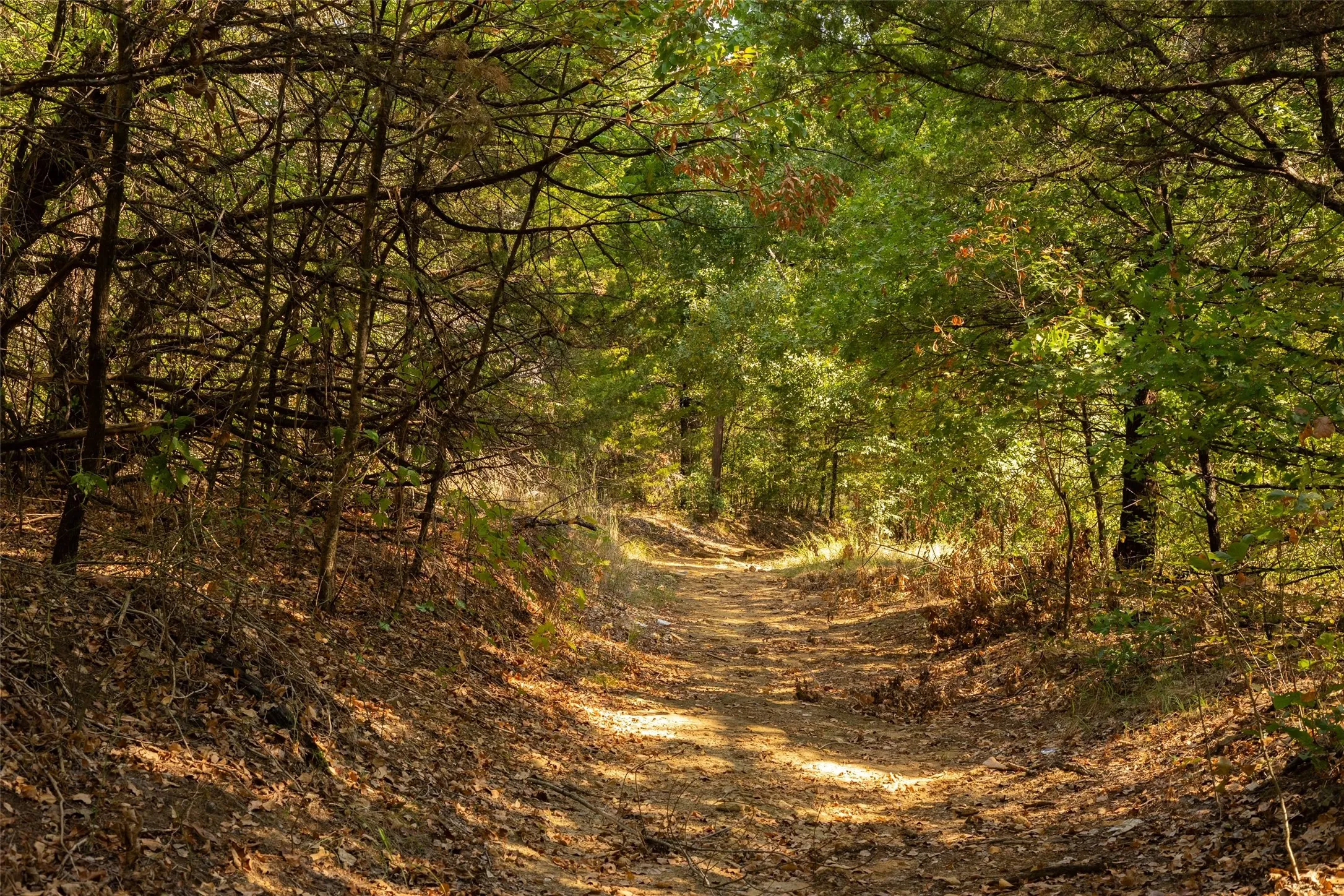 Unimproved Land For Sale in Grayson County , 4 Acres Tipps Lane, Whitesboro, Texas 76273, 0, 0, Garage spaces, 0 Sqft, built in 0, mls#21391408, Real Estate Agent in Whitesboro, Homes For Sale in Grayson county, Homes For Sale in Whitesboro, Realtor in Whitesboro Texas, Real Estate Brokerage Independent Realty Texas, Luminita Cordes Realtor