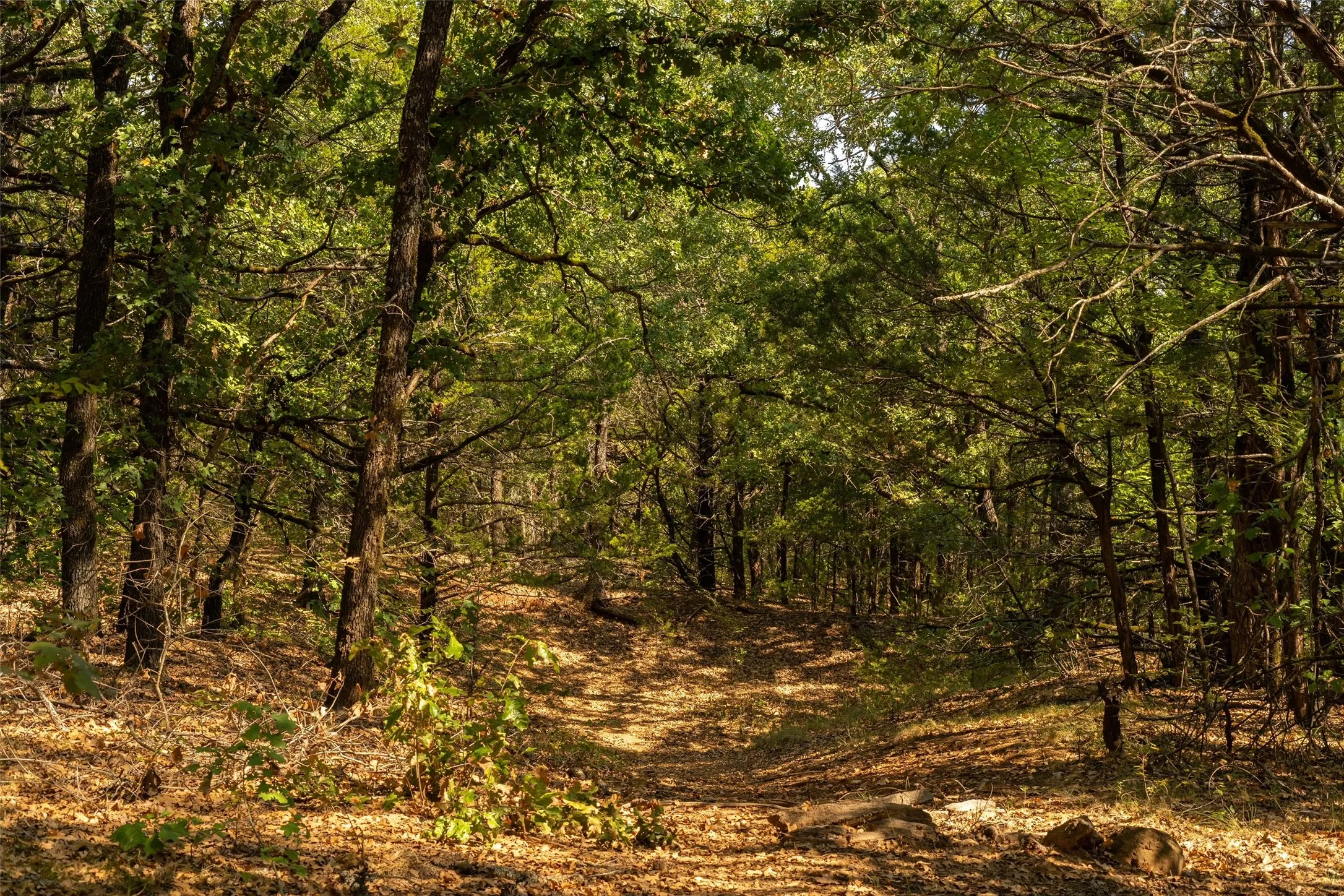 Unimproved Land For Sale in Grayson County , 4 Acres Tipps Lane, Whitesboro, Texas 76273, 0, 0, Garage spaces, 0 Sqft, built in 0, mls#21391408, Real Estate Agent in Whitesboro, Homes For Sale in Grayson county, Homes For Sale in Whitesboro, Realtor in Whitesboro Texas, Real Estate Brokerage Independent Realty Texas, Luminita Cordes Realtor