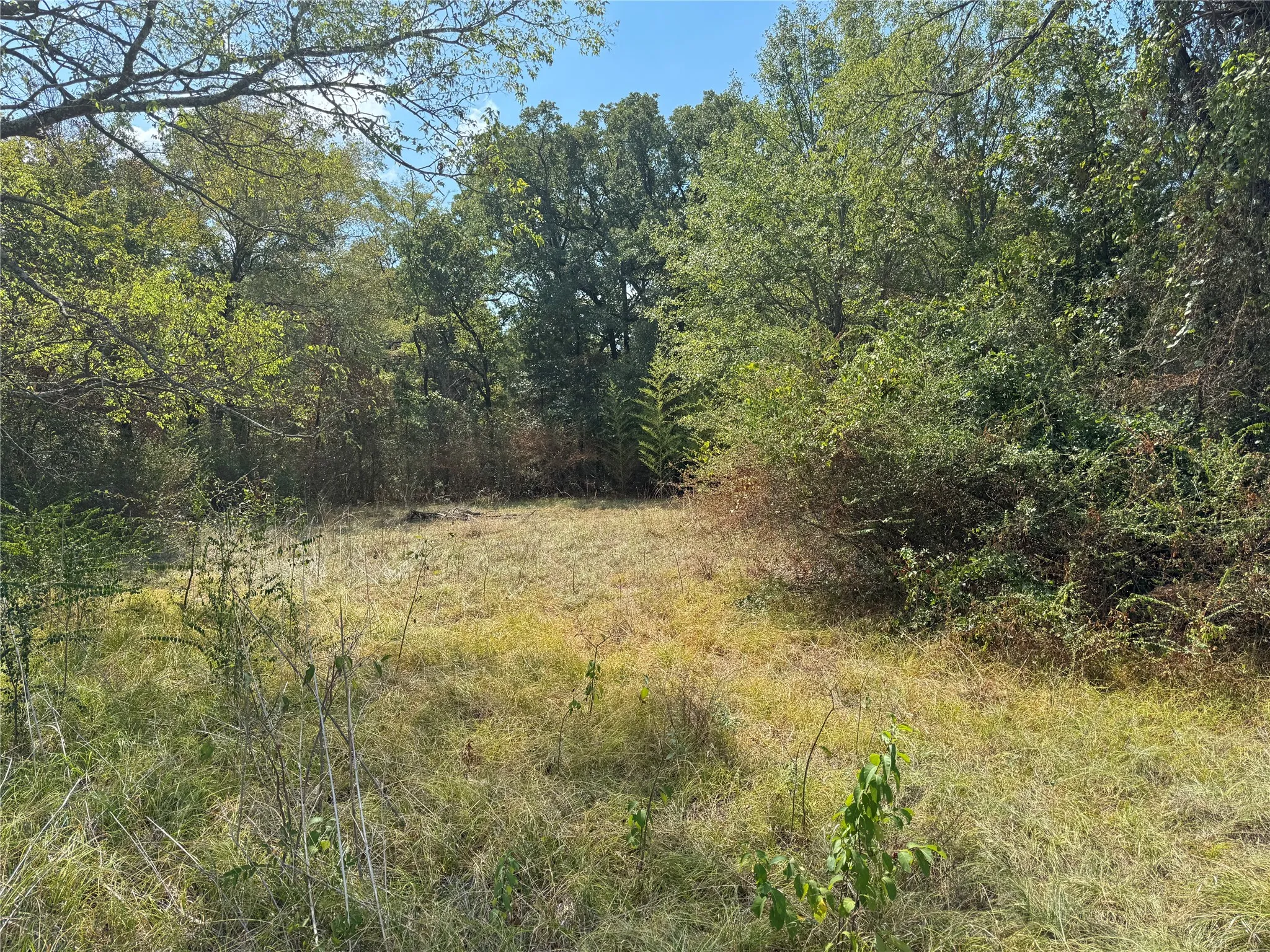 Unimproved Land For Sale in Henderson County , 0 Commadore Drive, Mabank, Texas 75156, 0, 0, Garage spaces, 0 Sqft, built in 0, mls#21383700, Real Estate Agent in Mabank, Homes For Sale in Henderson county, Homes For Sale in Mabank, Realtor in Mabank Texas, Real Estate Brokerage Independent Realty Texas, Luminita Cordes Realtor