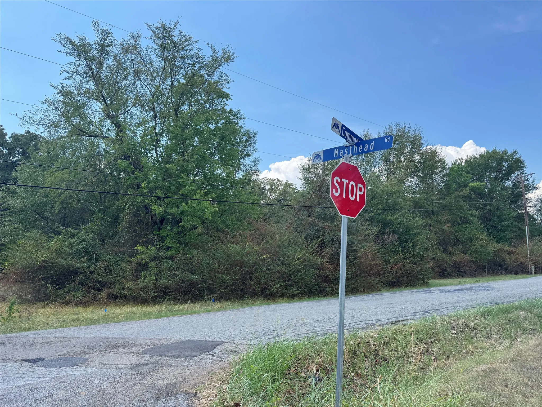 Unimproved Land For Sale in Henderson County , 0 Commadore Drive, Mabank, Texas 75156, 0, 0, Garage spaces, 0 Sqft, built in 0, mls#21383700, Real Estate Agent in Mabank, Homes For Sale in Henderson county, Homes For Sale in Mabank, Realtor in Mabank Texas, Real Estate Brokerage Independent Realty Texas, Luminita Cordes Realtor