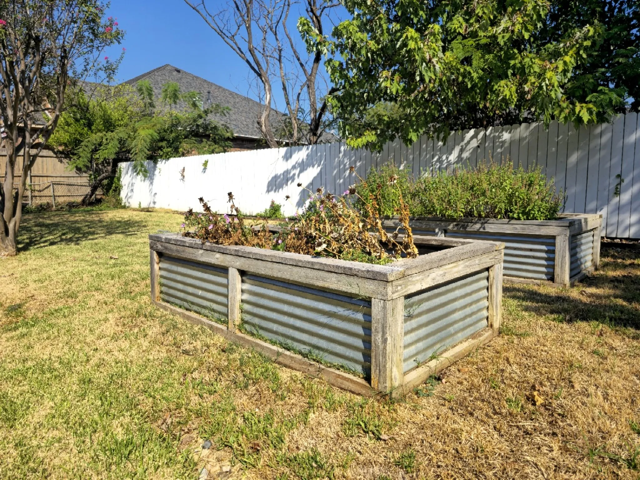 Single Family Residence For Rent in Grayson County , 2711 Morton Street, Denison, Texas 75020, 3 Bedroom, 2 Bathroom, 2 Garage spaces, 1,461 Sqft, built in 1963, mls#21391402, Real Estate Agent in Denison, Homes For Rent in Grayson county, Homes For Rent in Denison, Realtor in Denison Texas, Real Estate Brokerage Independent Realty Texas, Luminita Cordes Realtor