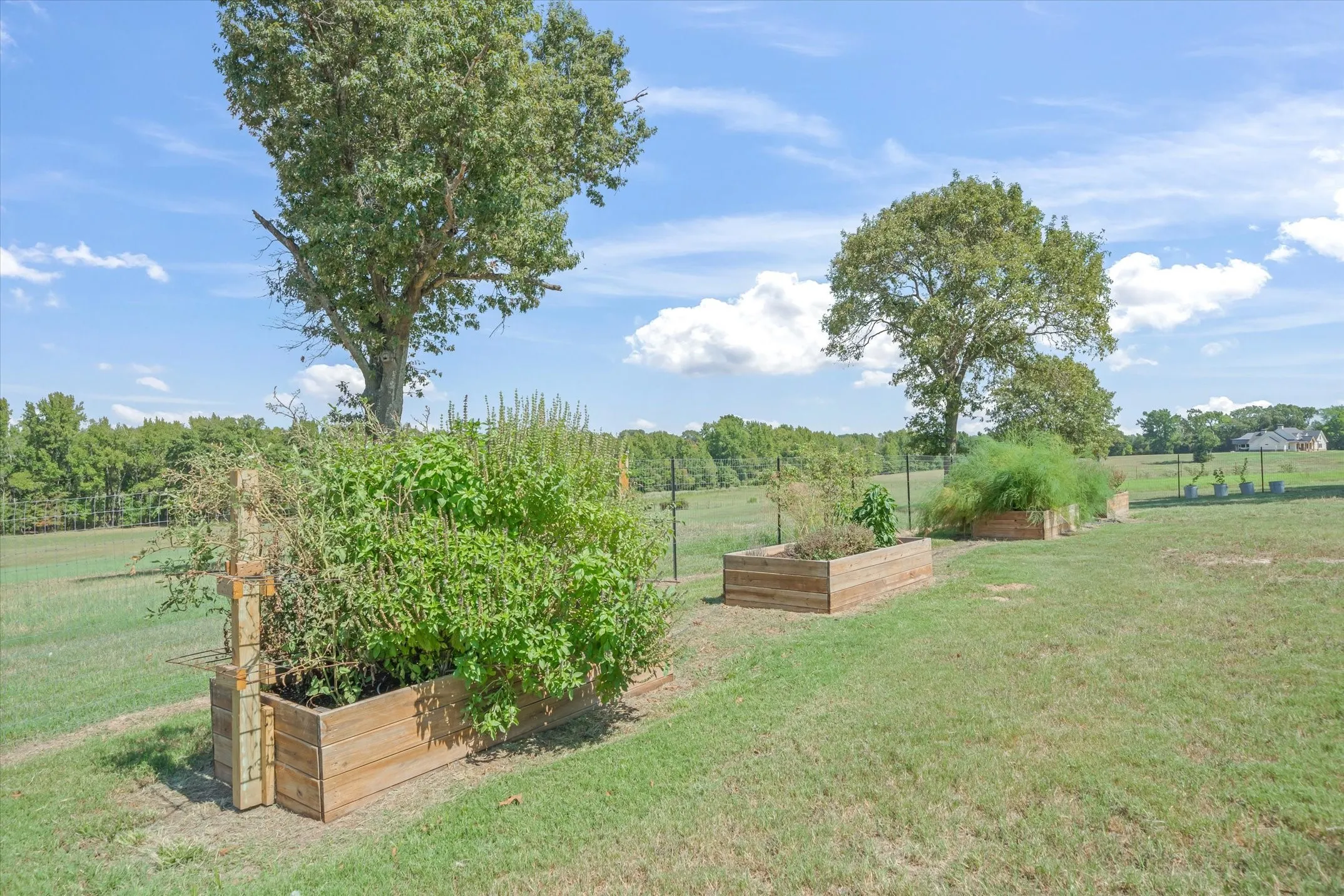 Expansive green space featuring multiple raised garden beds, mature trees, and open fields beyond