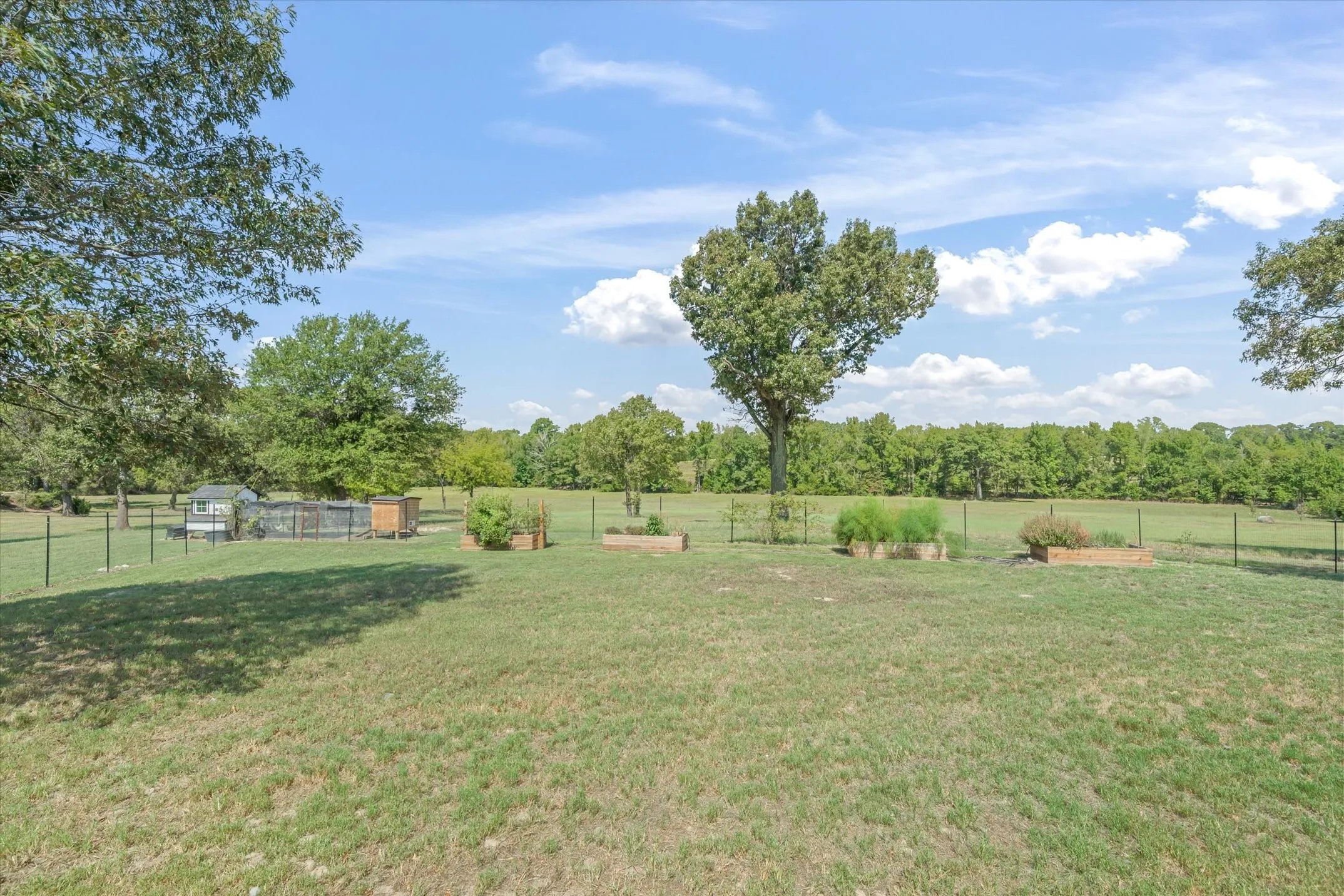 Expansive grassy yard with mature trees, a fenced area, and raised garden beds