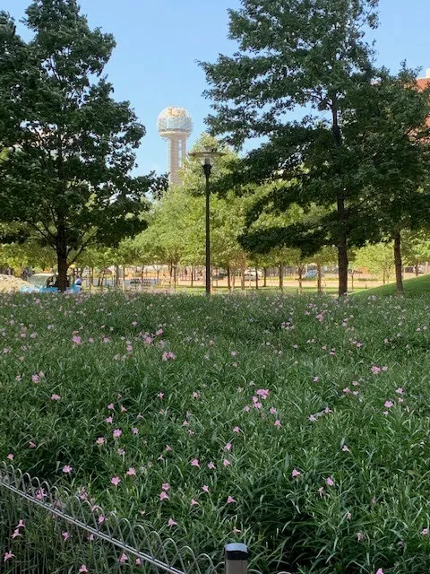 Civic Garden Park