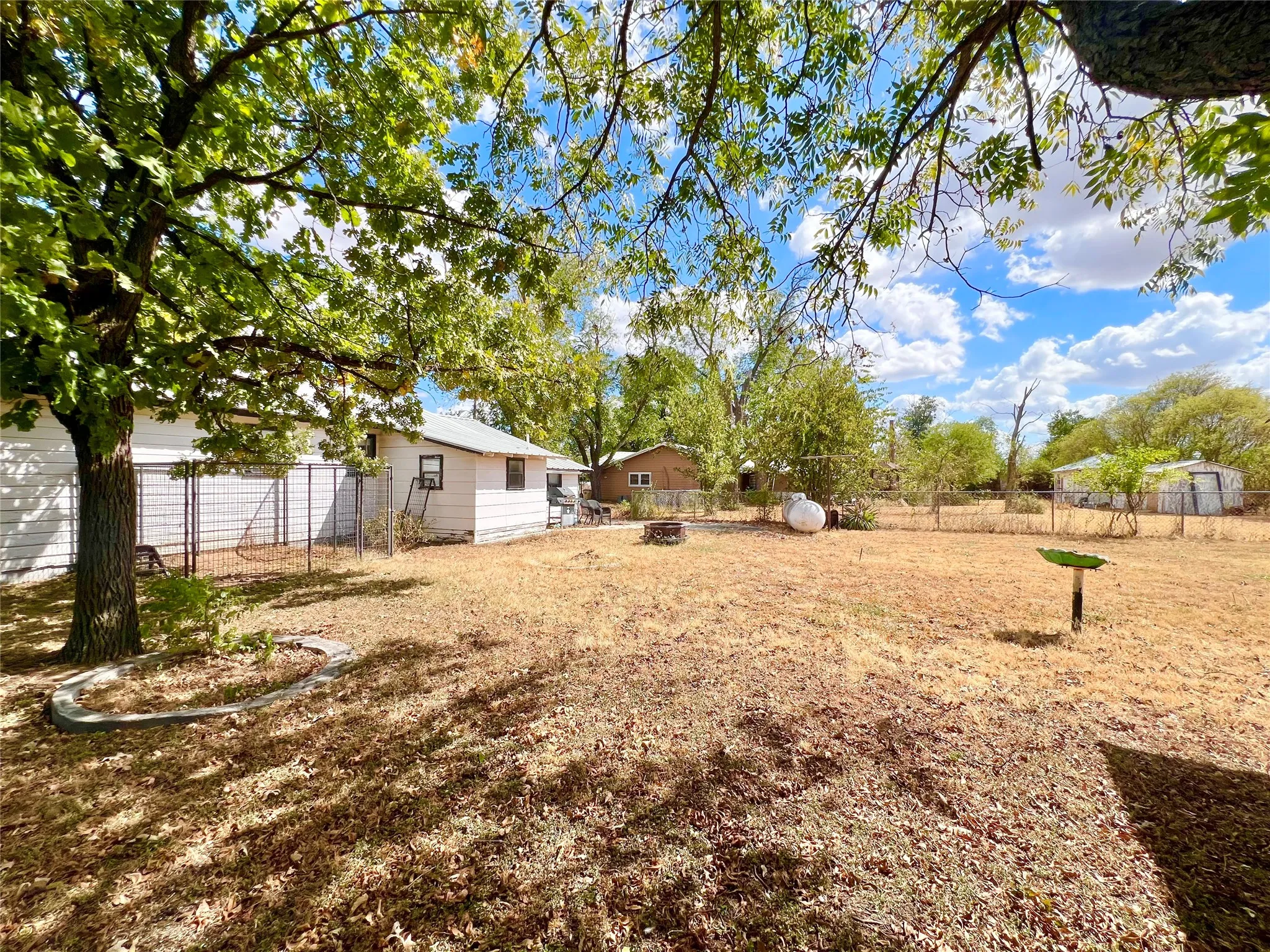 Backyard