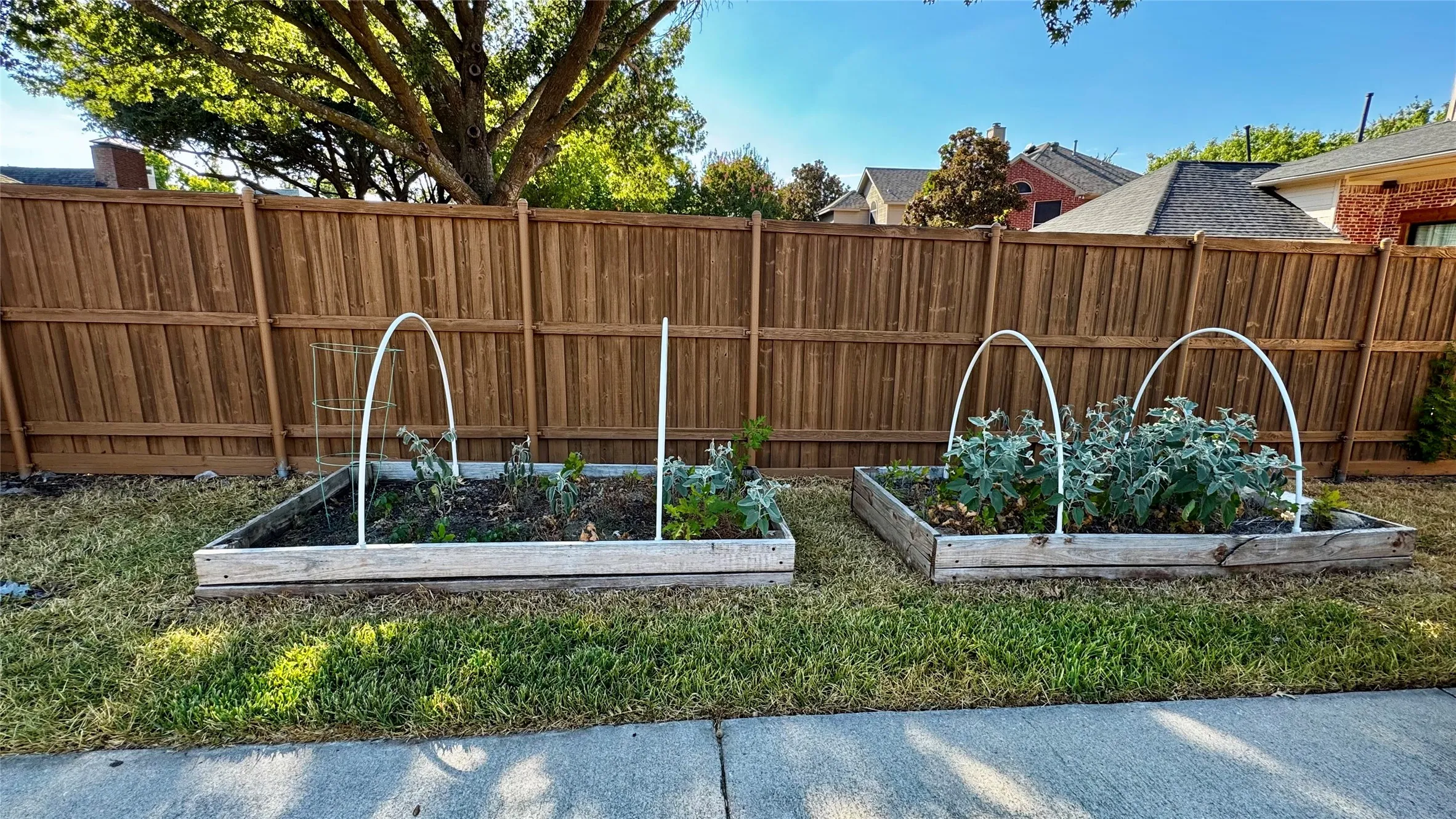 Garden in backyard