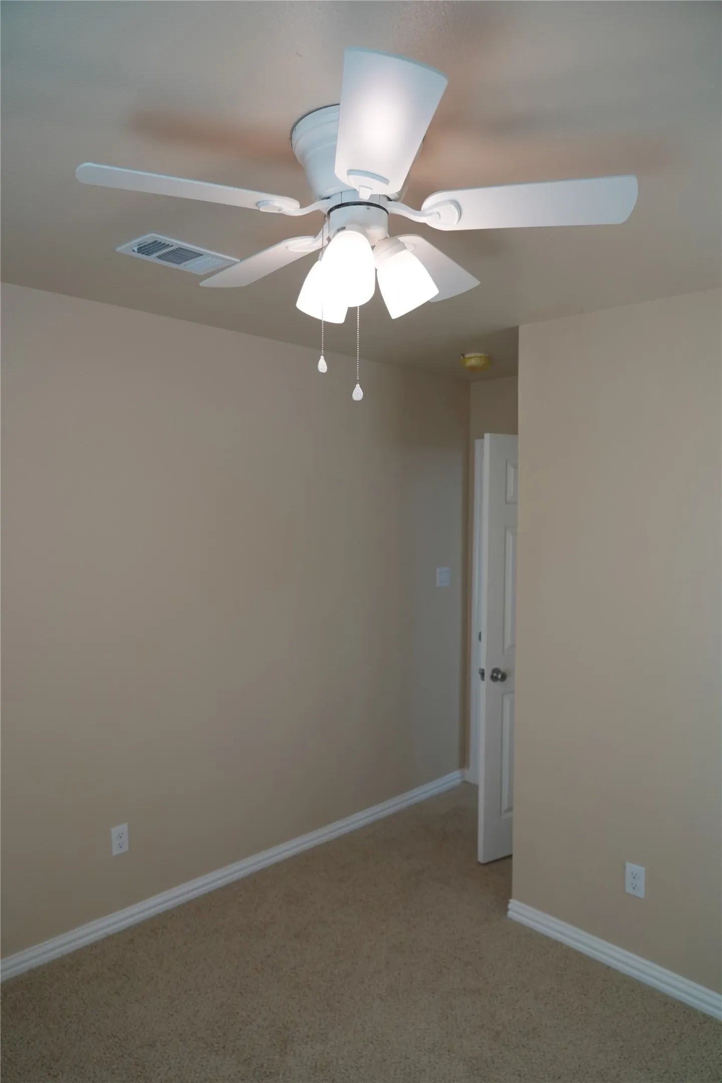 Textured carpeting with white trim