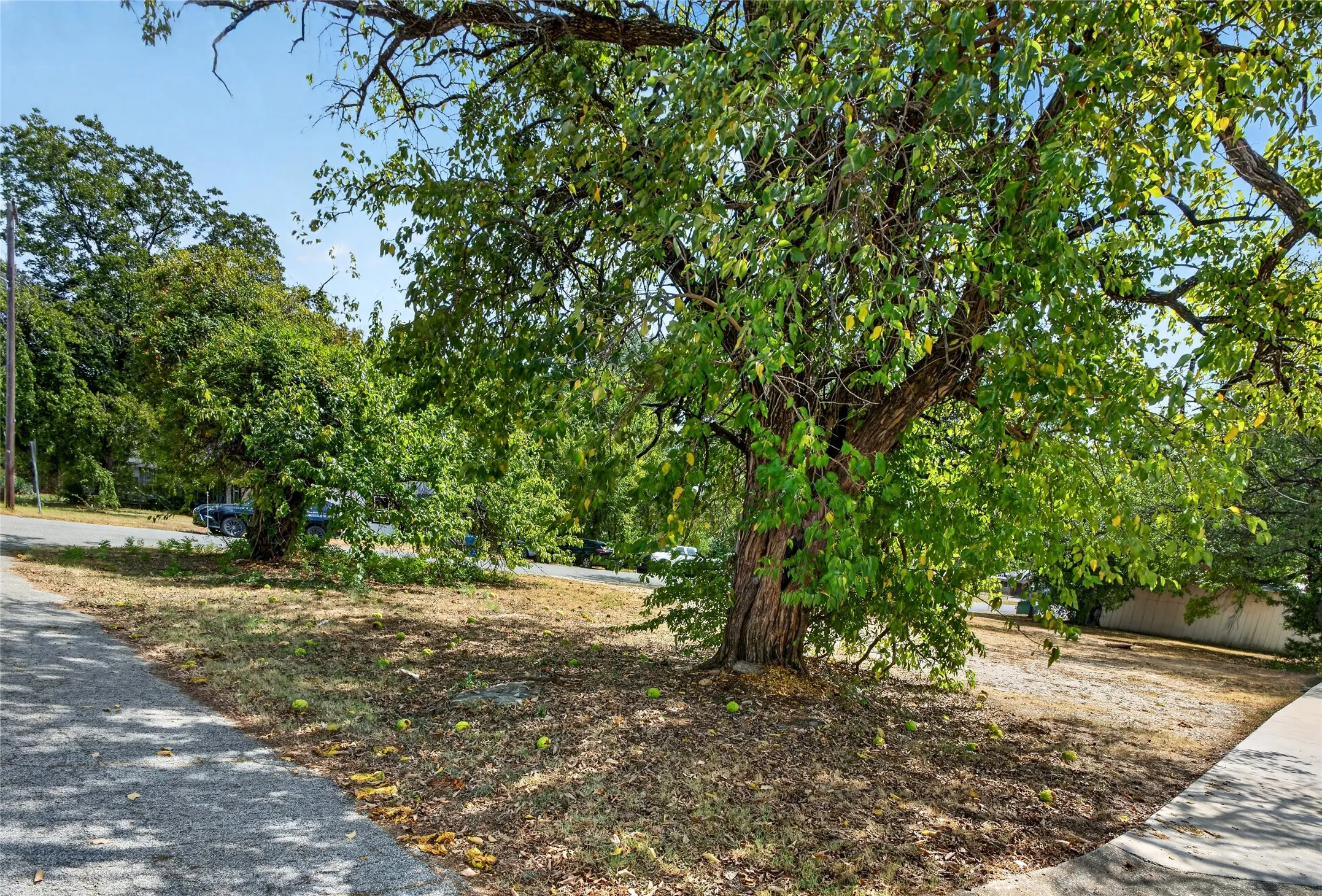 Unimproved Land For Sale in Grayson County , 000 Bond Street, Denison, Texas 75020, 0, 0, Garage spaces, 0 Sqft, built in 0, mls#21386300, Real Estate Agent in Denison, Homes For Sale in Grayson county, Homes For Sale in Denison, Realtor in Denison Texas, Real Estate Brokerage Independent Realty Texas, Luminita Cordes Realtor