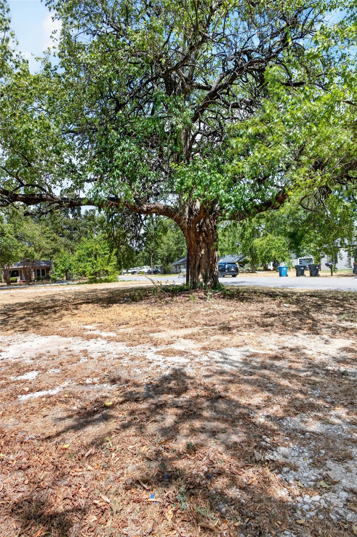 Unimproved Land For Sale in Grayson County , 000 Bond Street, Denison, Texas 75020, 0, 0, Garage spaces, 0 Sqft, built in 0, mls#21386300, Real Estate Agent in Denison, Homes For Sale in Grayson county, Homes For Sale in Denison, Realtor in Denison Texas, Real Estate Brokerage Independent Realty Texas, Luminita Cordes Realtor