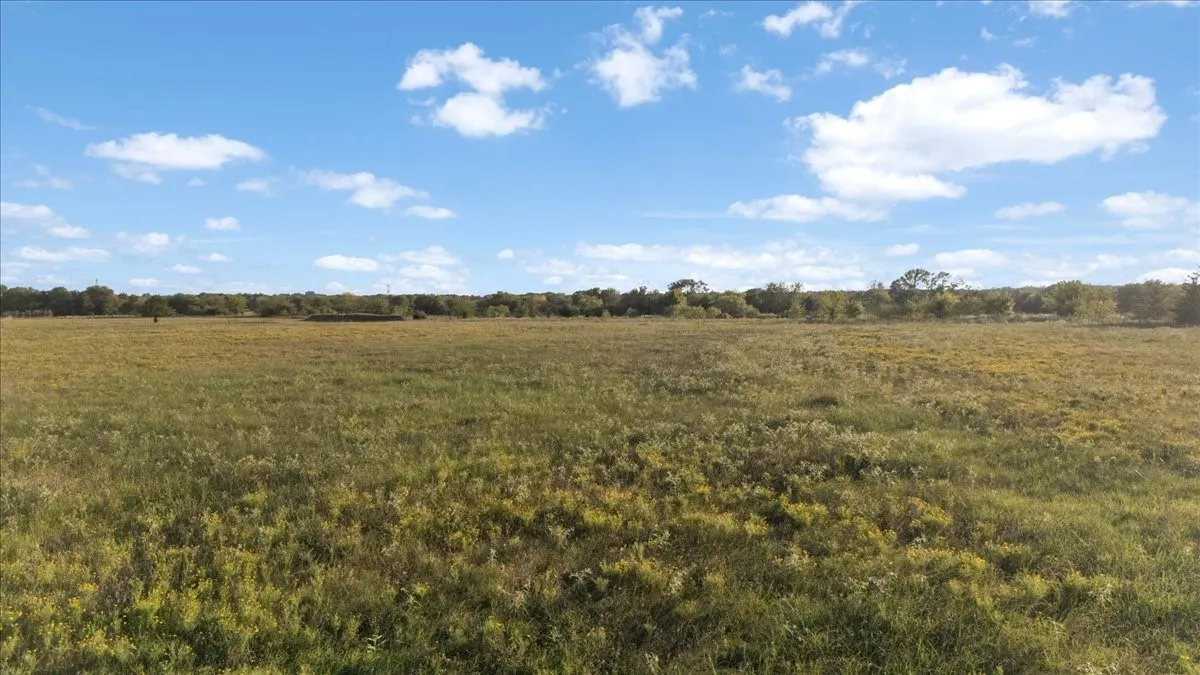 Unimproved Land For Sale in Van Zandt County , 285 Vz County Road 3831, Wills Point, Texas 75169, 0, 0, Garage spaces, 0 Sqft, built in 0, mls#21391513, Real Estate Agent in Wills Point, Homes For Sale in Van Zandt county, Homes For Sale in Wills Point, Realtor in Wills Point Texas, Real Estate Brokerage Independent Realty Texas, Luminita Cordes Realtor