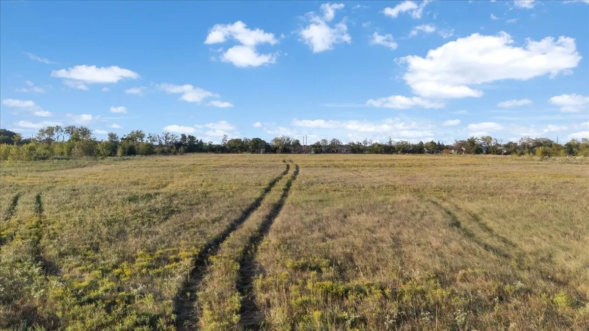 Unimproved Land For Sale in Van Zandt County , 285 Vz County Road 3831, Wills Point, Texas 75169, 0, 0, Garage spaces, 0 Sqft, built in 0, mls#21391513, Real Estate Agent in Wills Point, Homes For Sale in Van Zandt county, Homes For Sale in Wills Point, Realtor in Wills Point Texas, Real Estate Brokerage Independent Realty Texas, Luminita Cordes Realtor