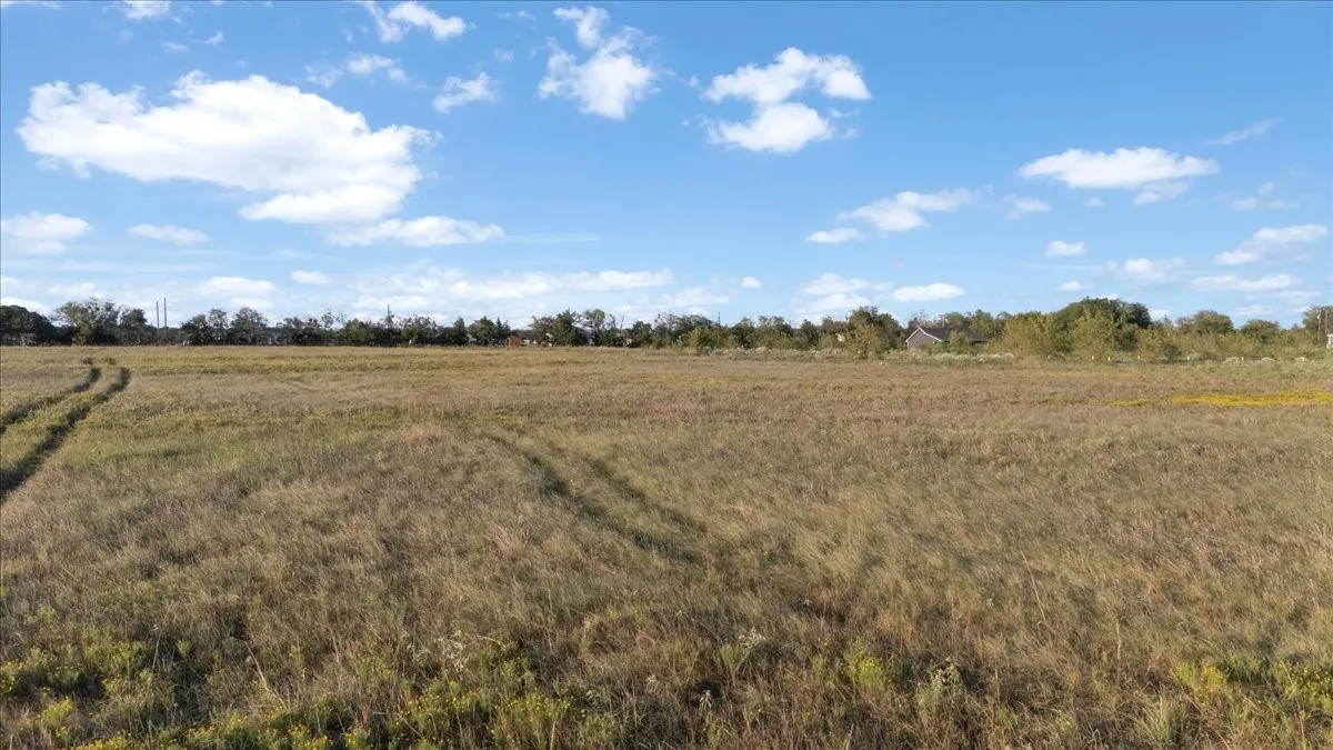Unimproved Land For Sale in Van Zandt County , 285 Vz County Road 3831, Wills Point, Texas 75169, 0, 0, Garage spaces, 0 Sqft, built in 0, mls#21391513, Real Estate Agent in Wills Point, Homes For Sale in Van Zandt county, Homes For Sale in Wills Point, Realtor in Wills Point Texas, Real Estate Brokerage Independent Realty Texas, Luminita Cordes Realtor
