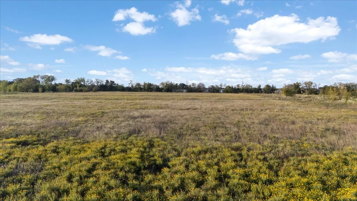 Unimproved Land For Sale in Van Zandt County , 285 Vz County Road 3831, Wills Point, Texas 75169, 0, 0, Garage spaces, 0 Sqft, built in 0, mls#21391513, Real Estate Agent in Wills Point, Homes For Sale in Van Zandt county, Homes For Sale in Wills Point, Realtor in Wills Point Texas, Real Estate Brokerage Independent Realty Texas, Luminita Cordes Realtor