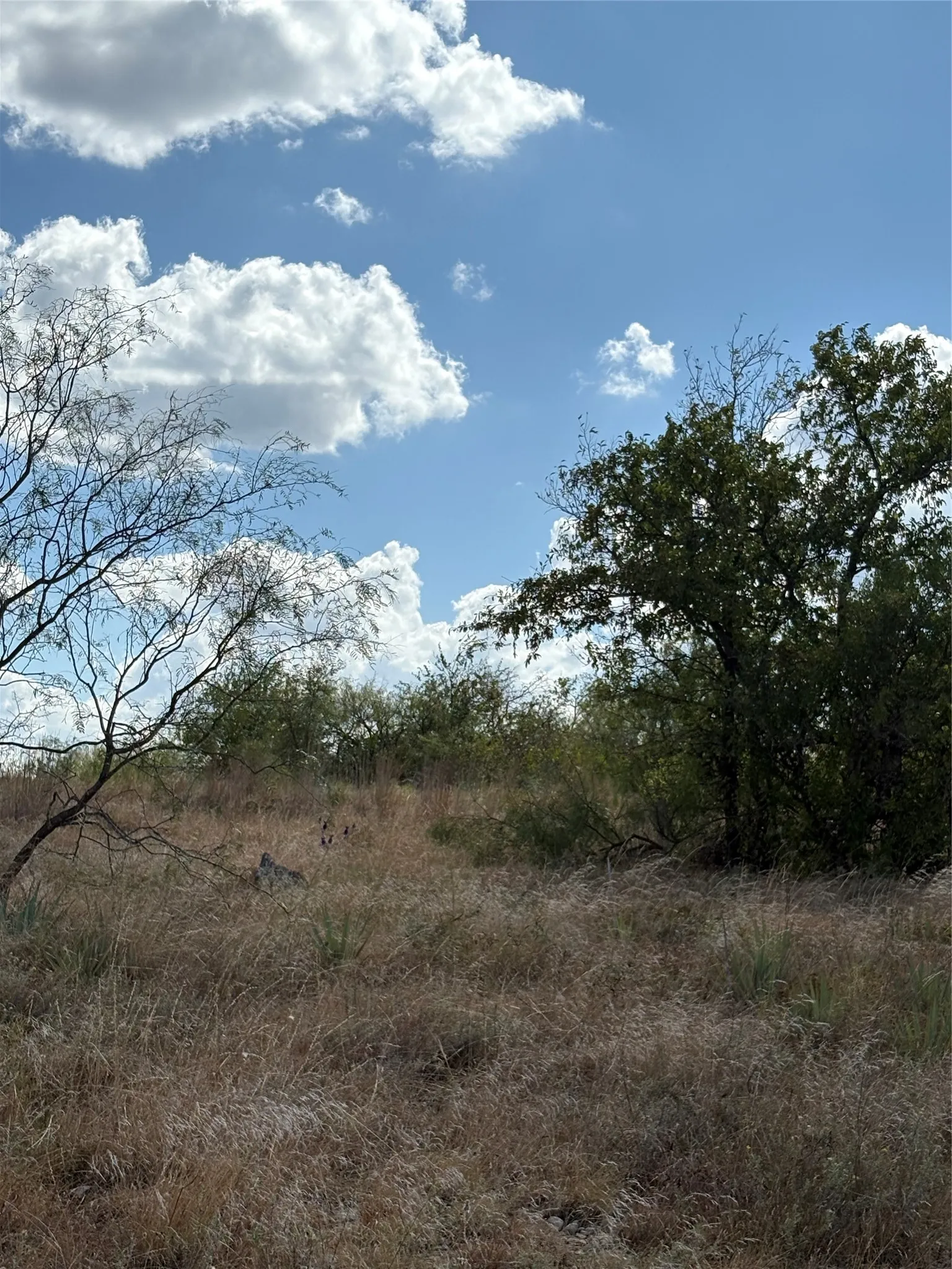 Unimproved Land For Sale in Comanche County , 19 Parks Medow Dr., Gustine, Texas 76455, 0, 0, Garage spaces, 0 Sqft, built in 0, mls#21391521, Real Estate Agent in Gustine, Homes For Sale in Comanche county, Homes For Sale in Gustine, Realtor in Gustine Texas, Real Estate Brokerage Independent Realty Texas, Luminita Cordes Realtor