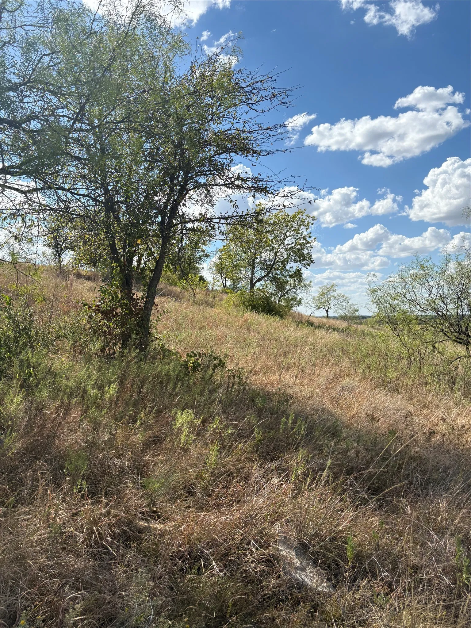 Unimproved Land For Sale in Comanche County , 19 Parks Medow Dr., Gustine, Texas 76455, 0, 0, Garage spaces, 0 Sqft, built in 0, mls#21391521, Real Estate Agent in Gustine, Homes For Sale in Comanche county, Homes For Sale in Gustine, Realtor in Gustine Texas, Real Estate Brokerage Independent Realty Texas, Luminita Cordes Realtor