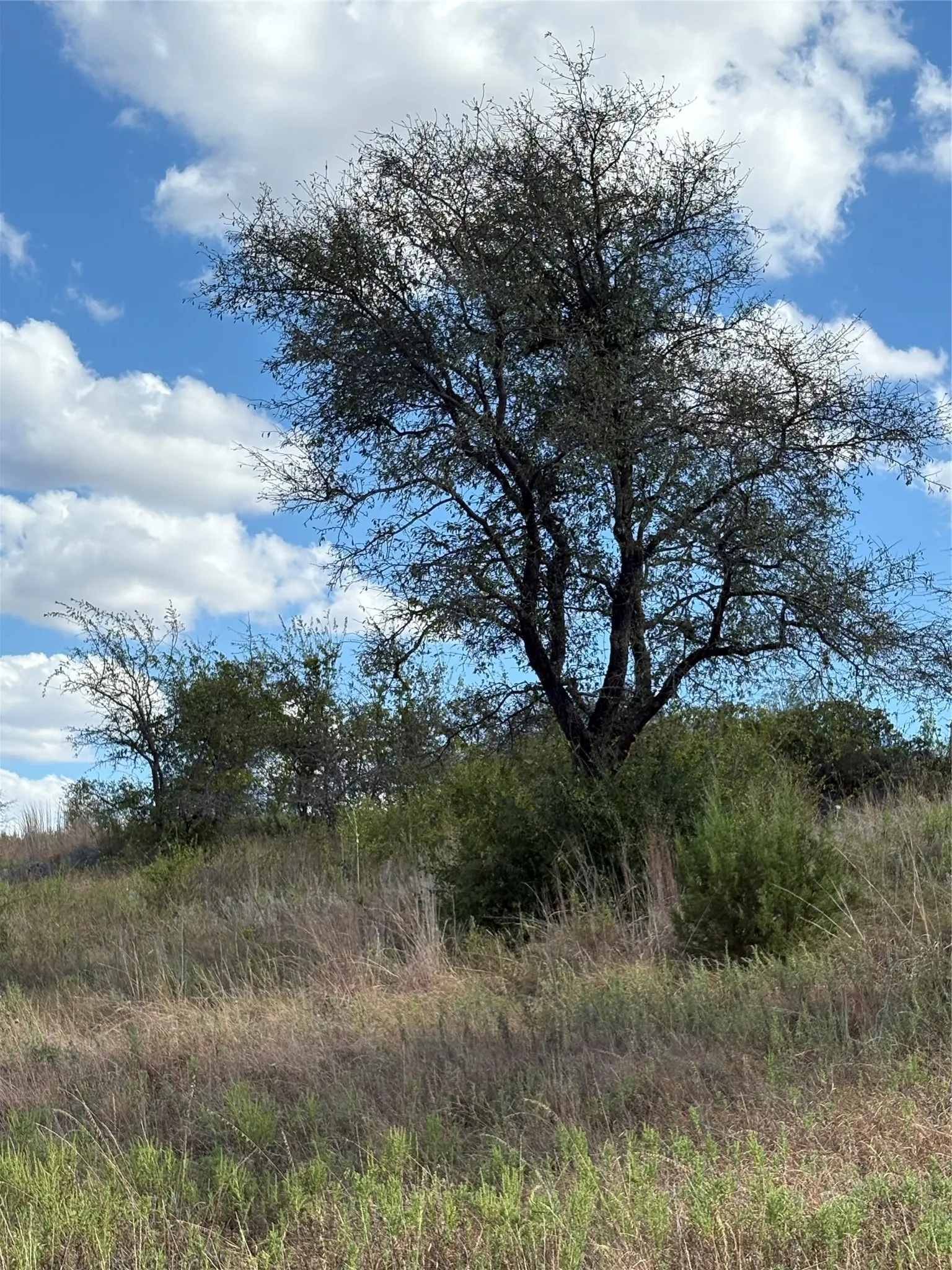 Unimproved Land For Sale in Comanche County , 19 Parks Medow Dr., Gustine, Texas 76455, 0, 0, Garage spaces, 0 Sqft, built in 0, mls#21391521, Real Estate Agent in Gustine, Homes For Sale in Comanche county, Homes For Sale in Gustine, Realtor in Gustine Texas, Real Estate Brokerage Independent Realty Texas, Luminita Cordes Realtor