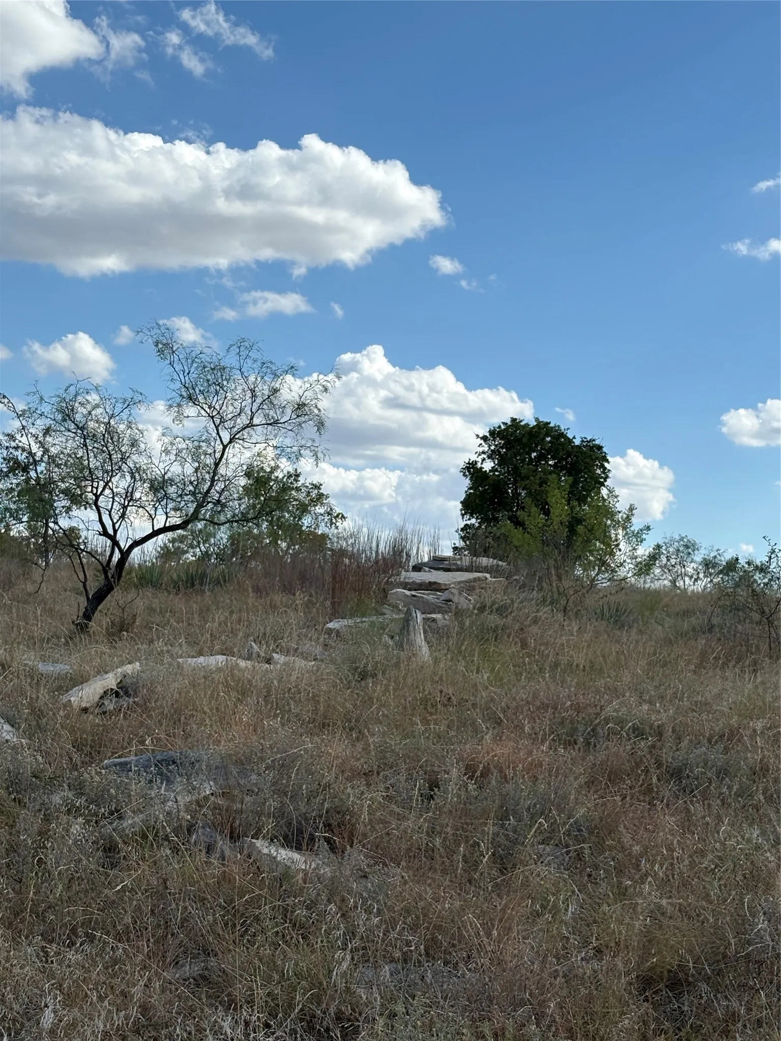 Unimproved Land For Sale in Comanche County , 19 Parks Medow Dr., Gustine, Texas 76455, 0, 0, Garage spaces, 0 Sqft, built in 0, mls#21391521, Real Estate Agent in Gustine, Homes For Sale in Comanche county, Homes For Sale in Gustine, Realtor in Gustine Texas, Real Estate Brokerage Independent Realty Texas, Luminita Cordes Realtor