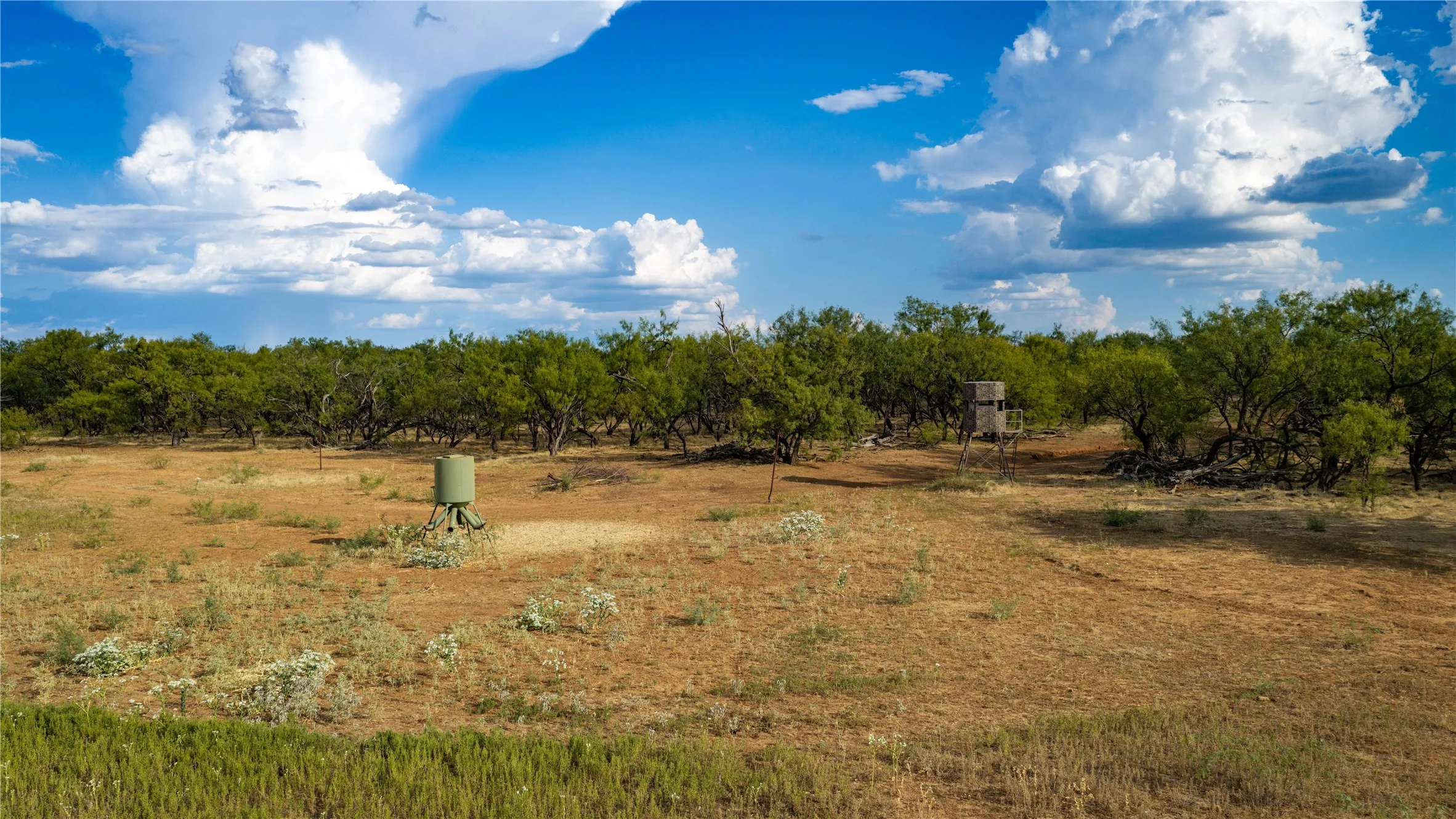 Ranch For Sale in Stephens County , 10203 County Road 103, Caddo, Texas 76429, 0, 0, Garage spaces, 0 Sqft, built in 0, mls#21391595, Real Estate Agent in Caddo, Homes For Sale in Stephens county, Homes For Sale in Caddo, Realtor in Caddo Texas, Real Estate Brokerage Independent Realty Texas, Luminita Cordes Realtor
