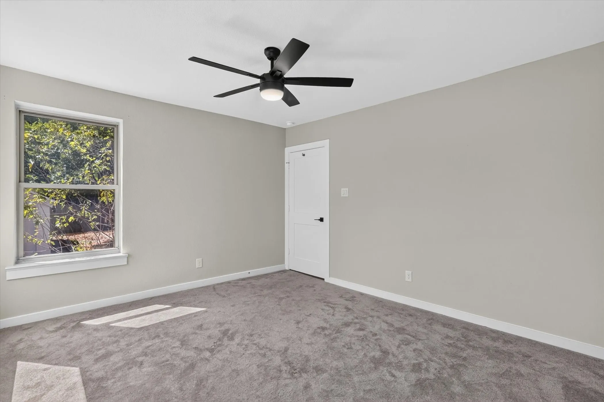 Gray carpeted flooring, light gray wall paint, and white trim