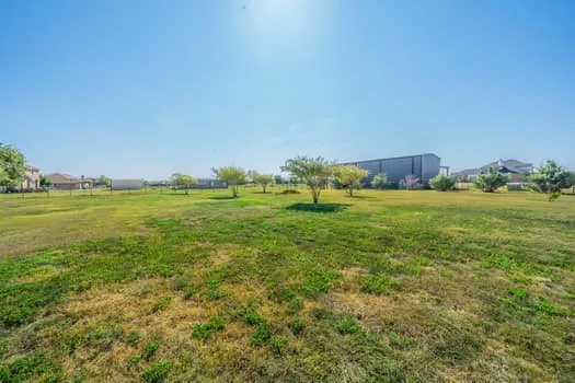 Expansive green space featuring scattered trees and a clear sky to breath taking views at night